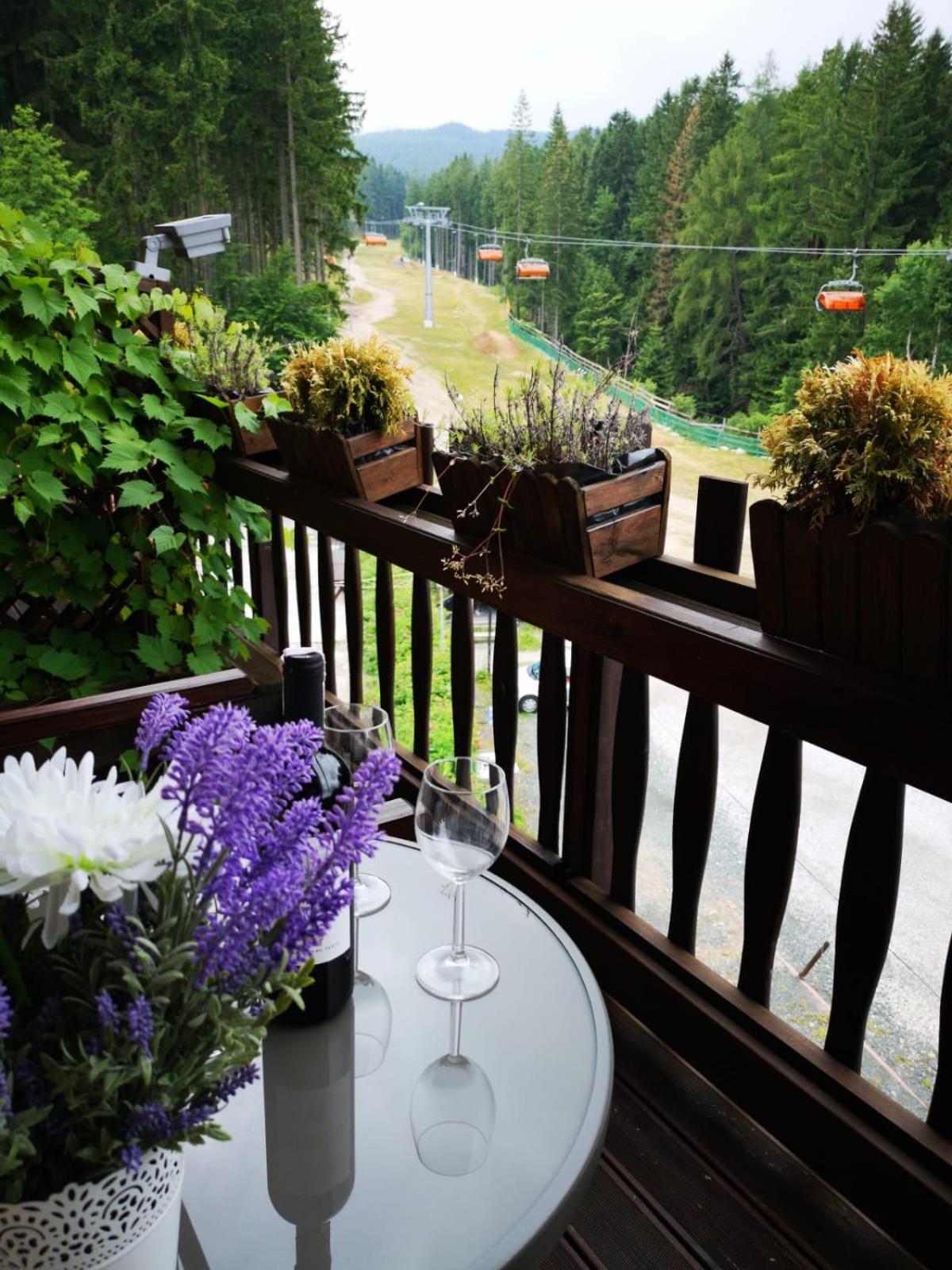 Apartment with Terrace - Photo 5