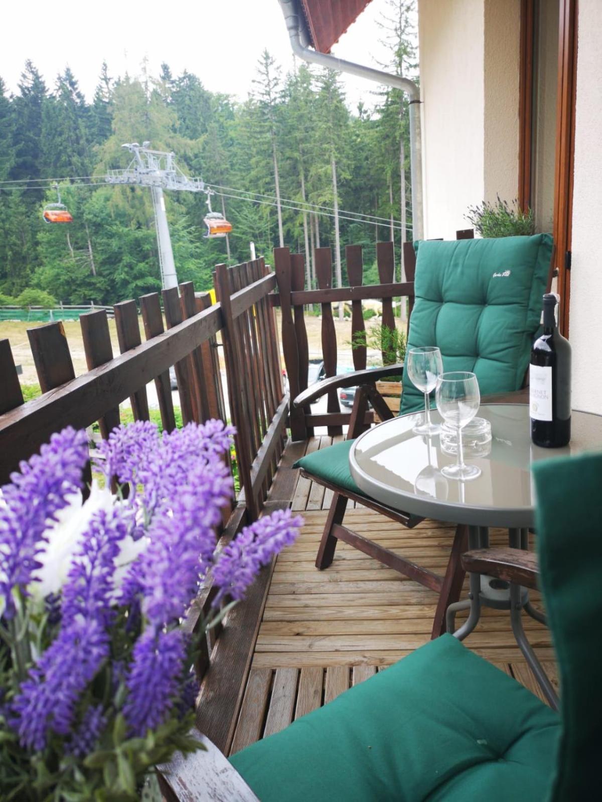 Apartment with Mountain View - Photo 6