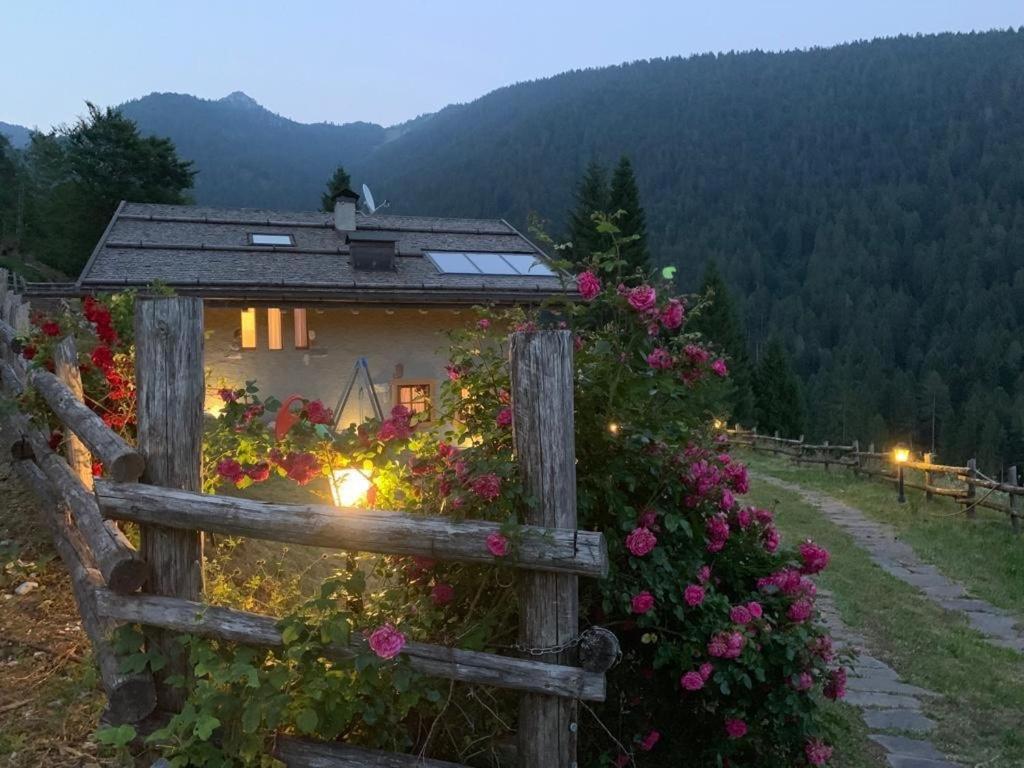 Superior Chalet