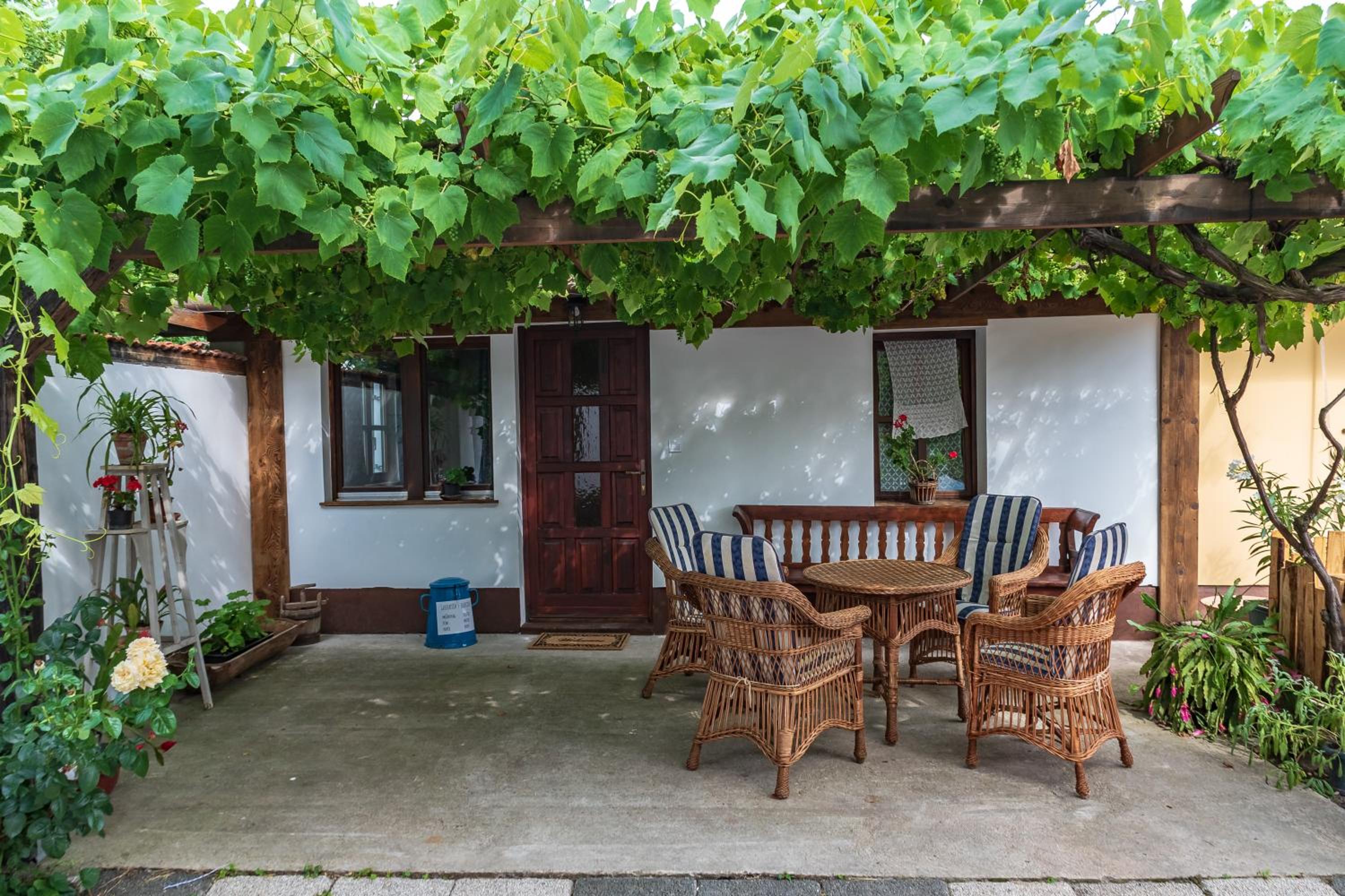Double or Twin Room with Terrace photo 2