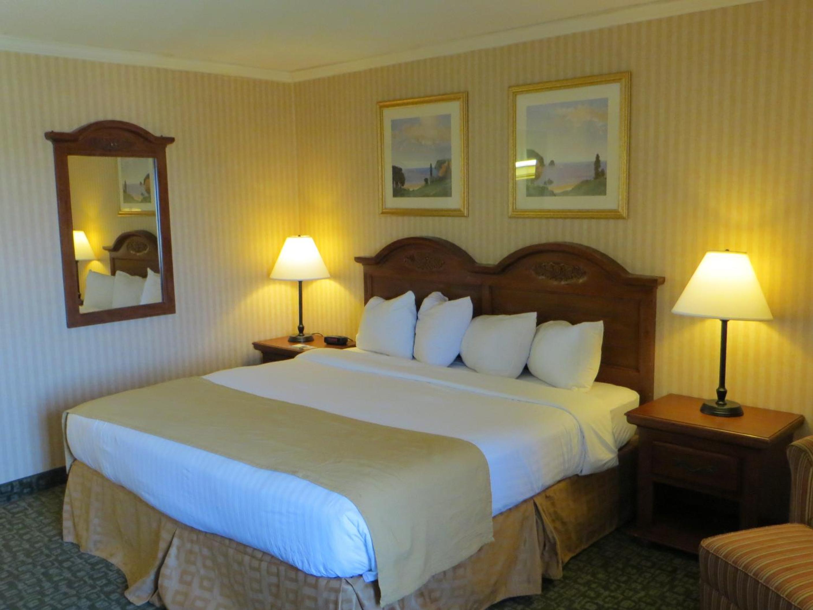 King Room - Non-Smoking - Photo 2
