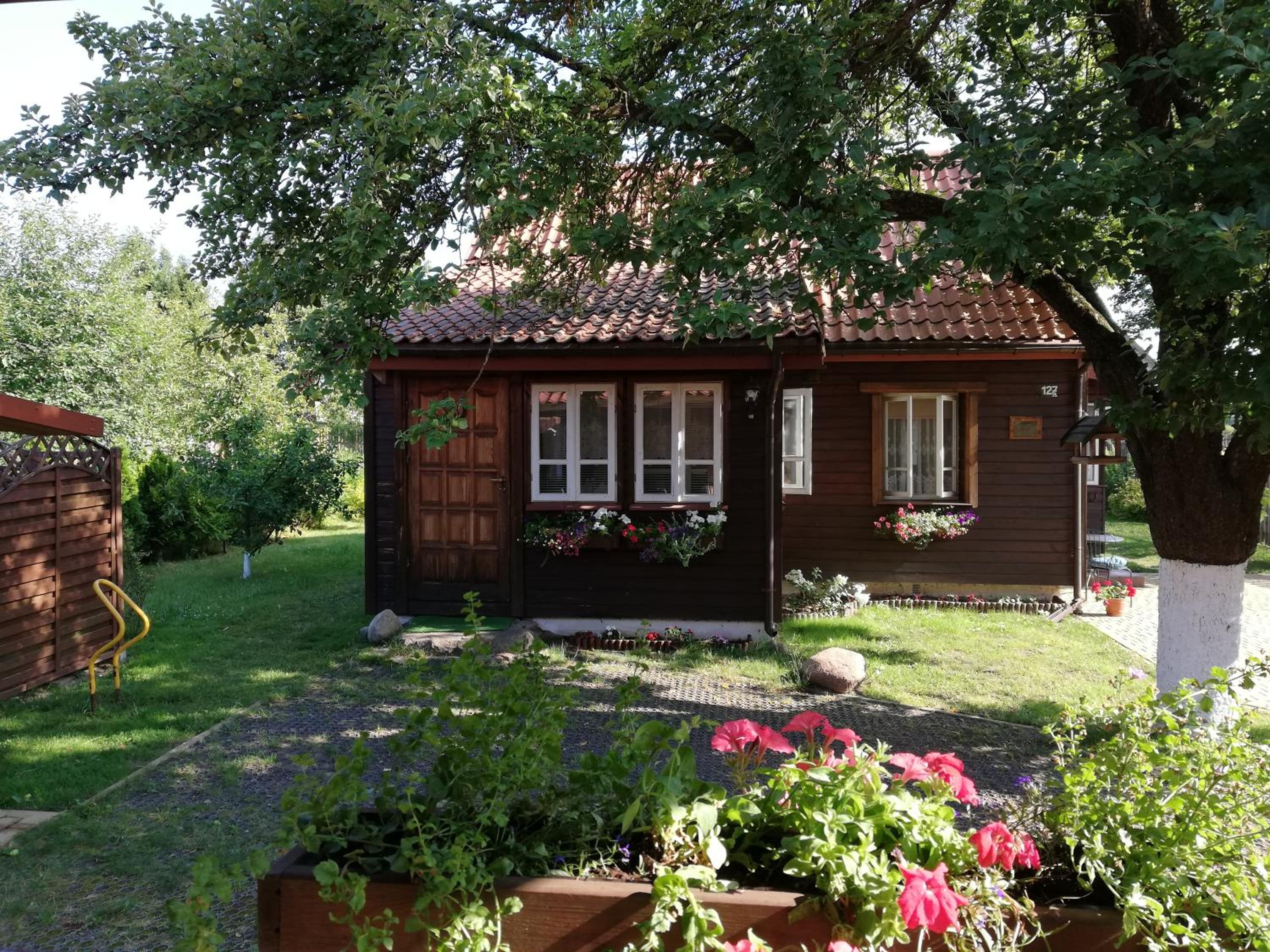 Family Bungalow photo 2