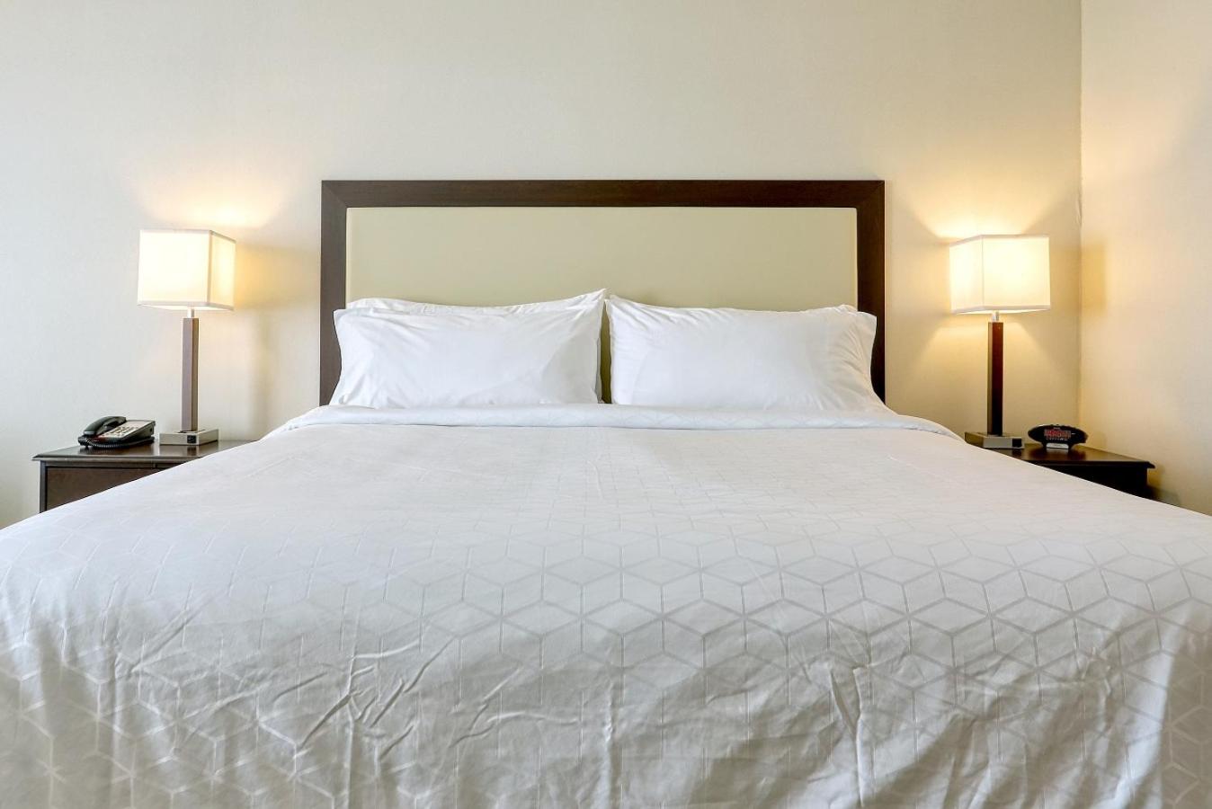 Standard King Room - Photo 5