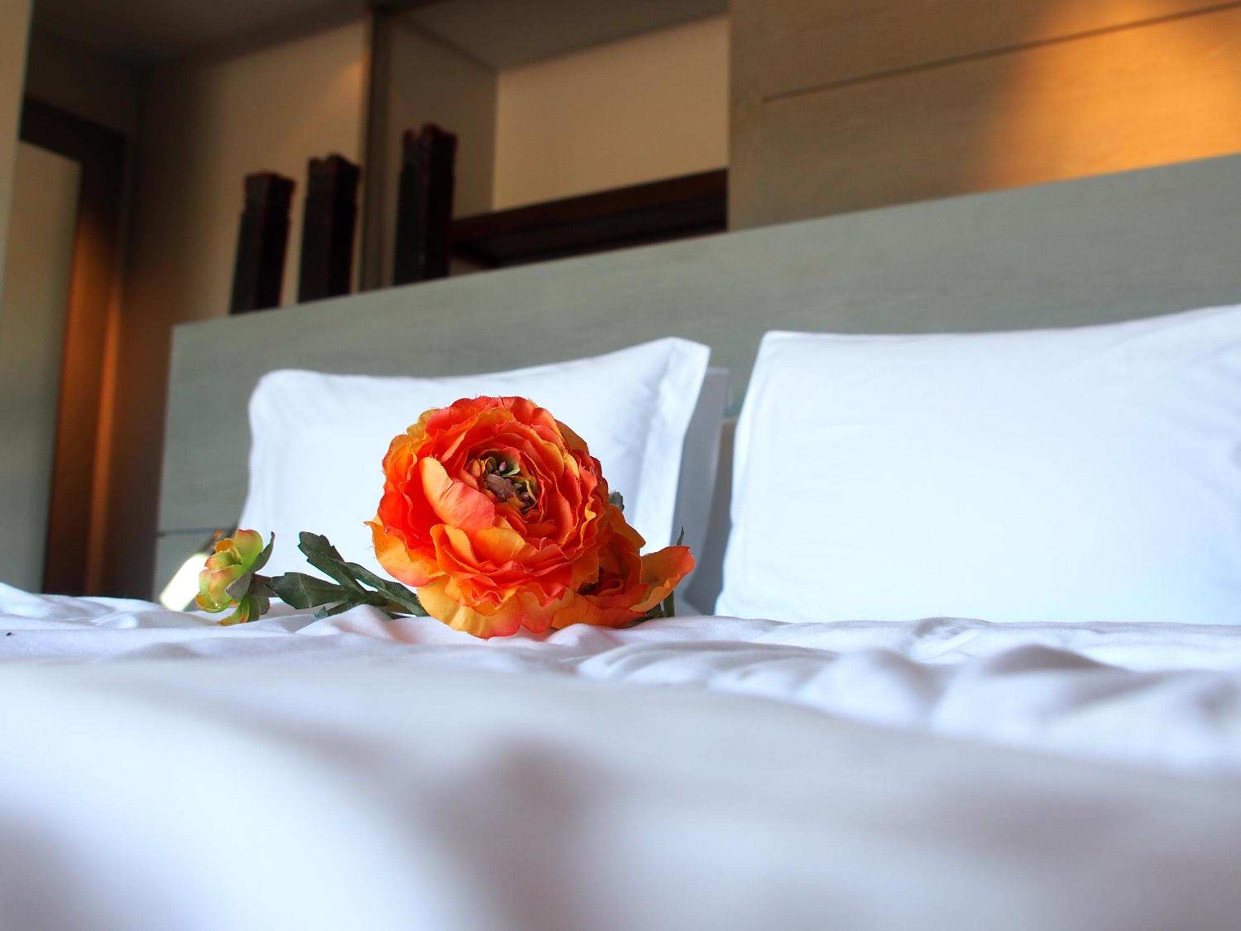 Superior Suite with Sea View photo 3