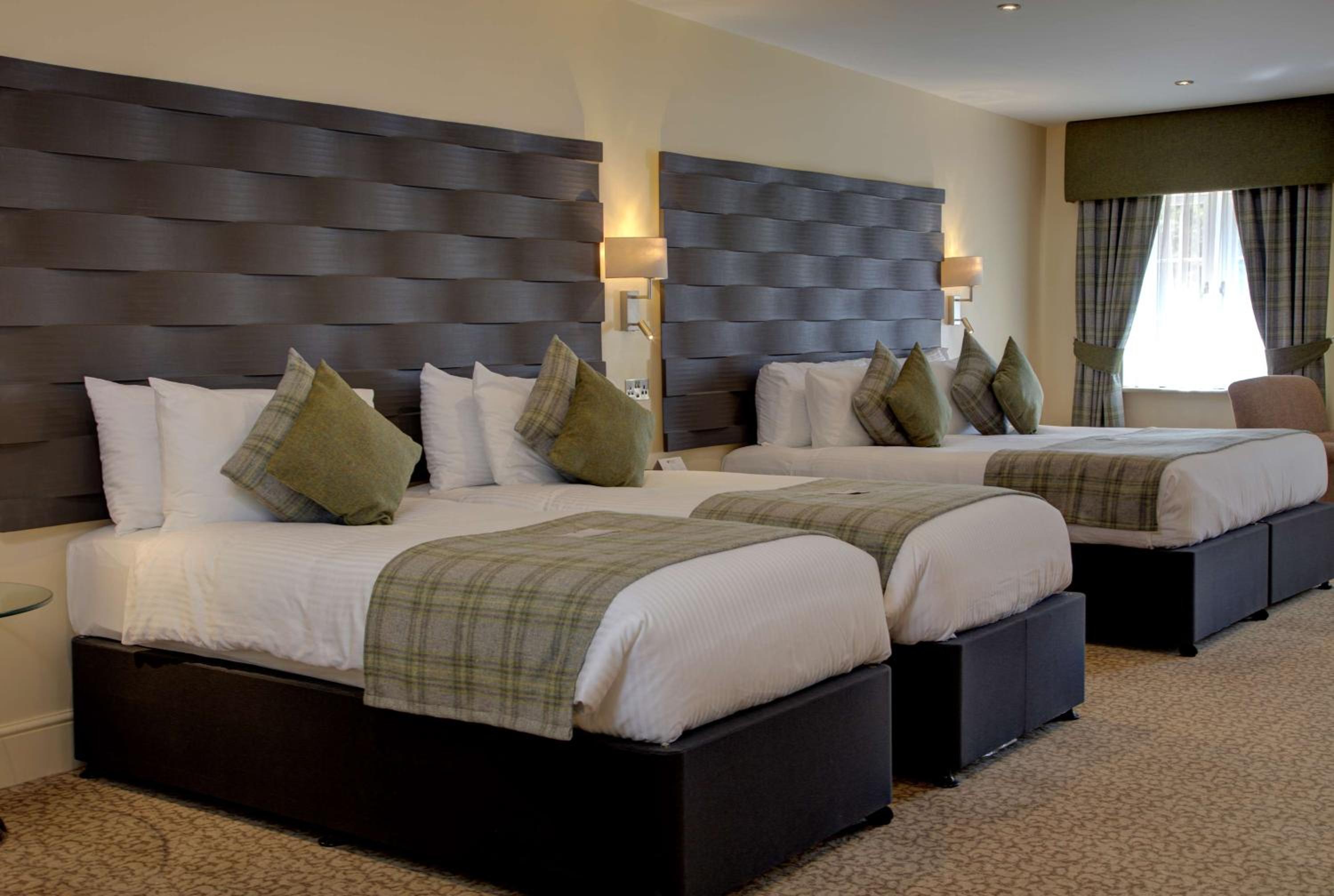 Executive Family Room - Photo 6