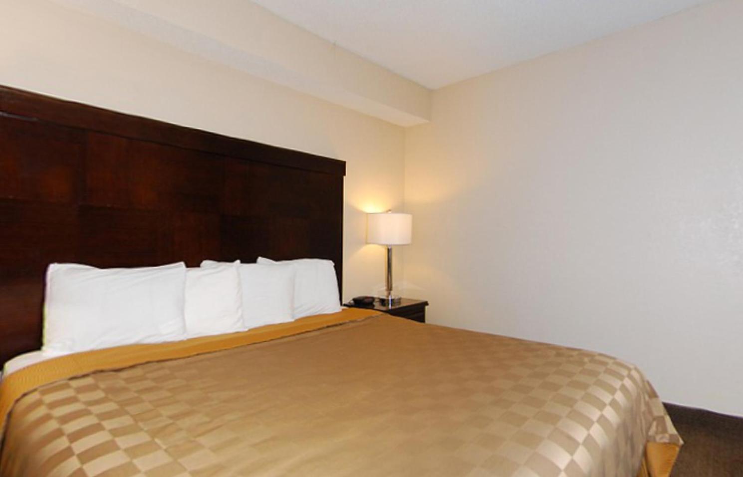 Queen Room - Disability Access - Photo 3
