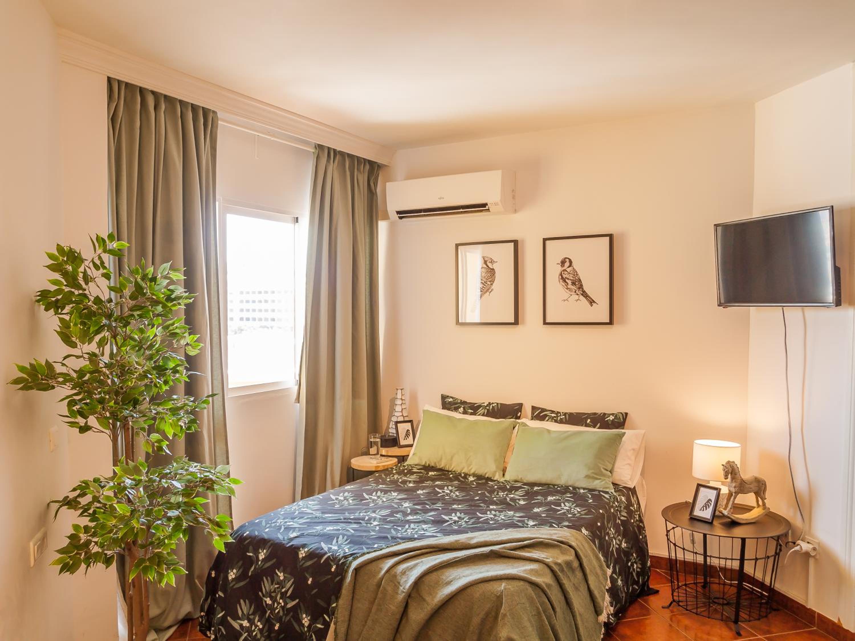 Apartamento Estudio