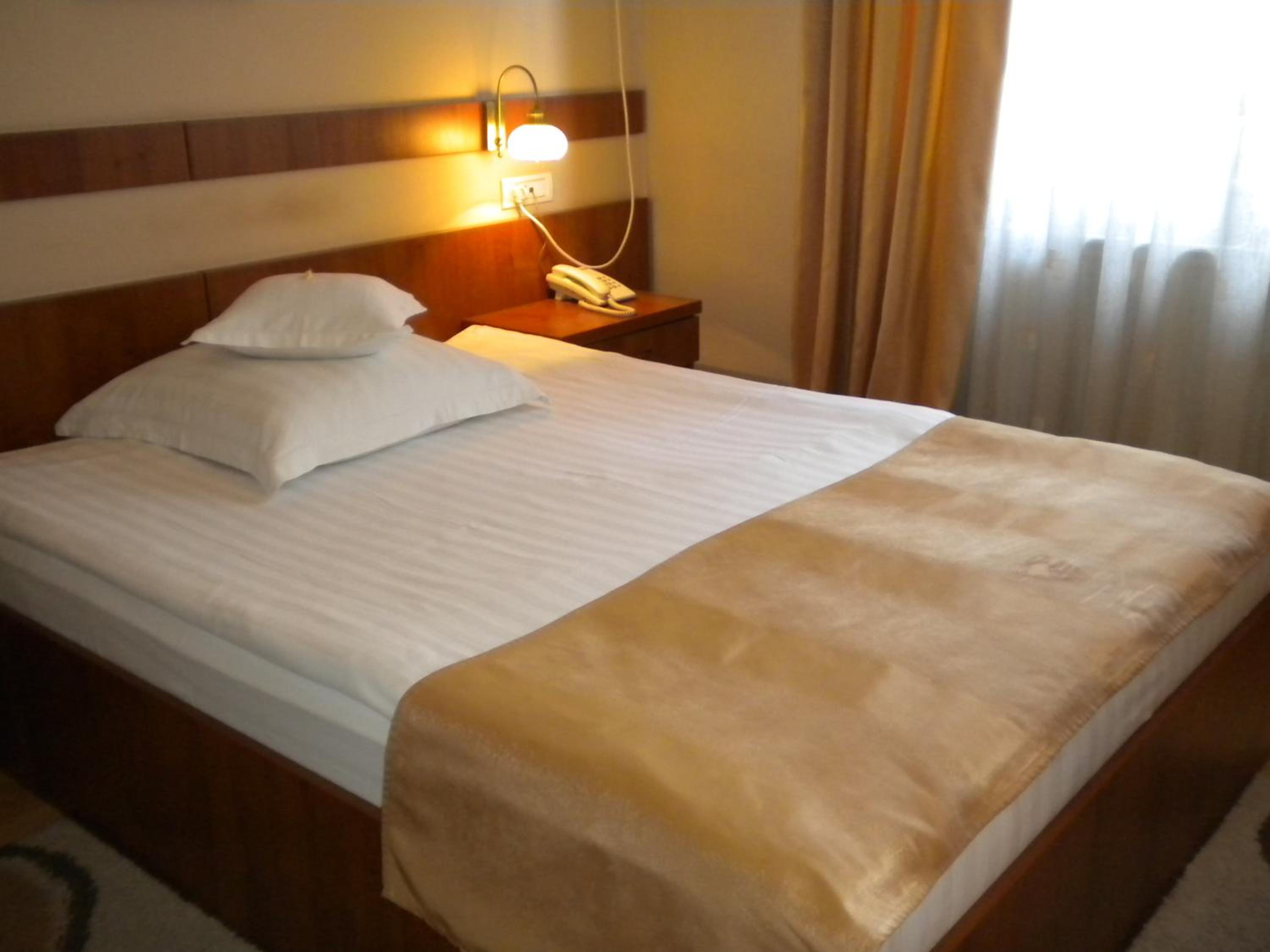 Suite - Photo 1