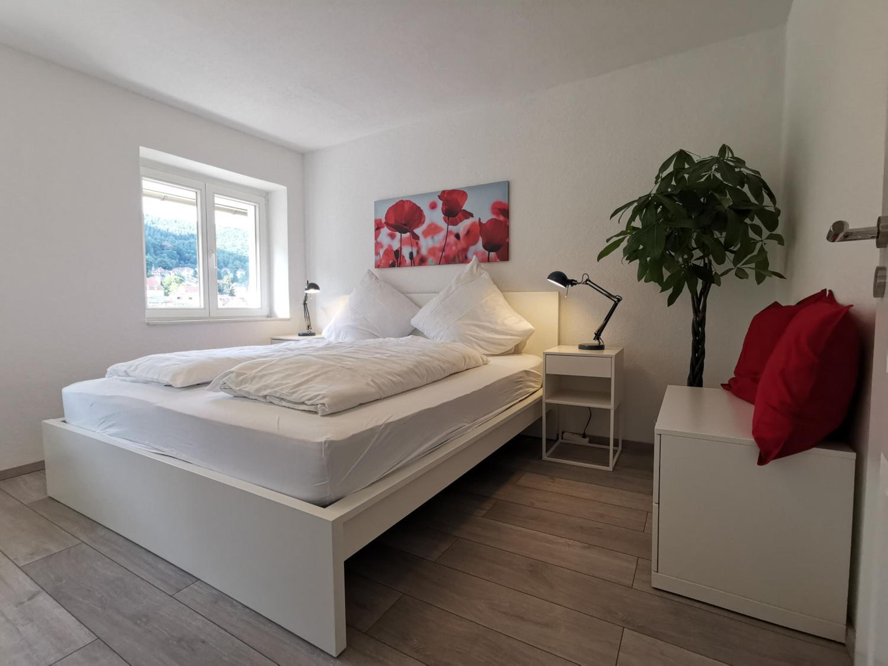 Apartment with Mountain View photo 1