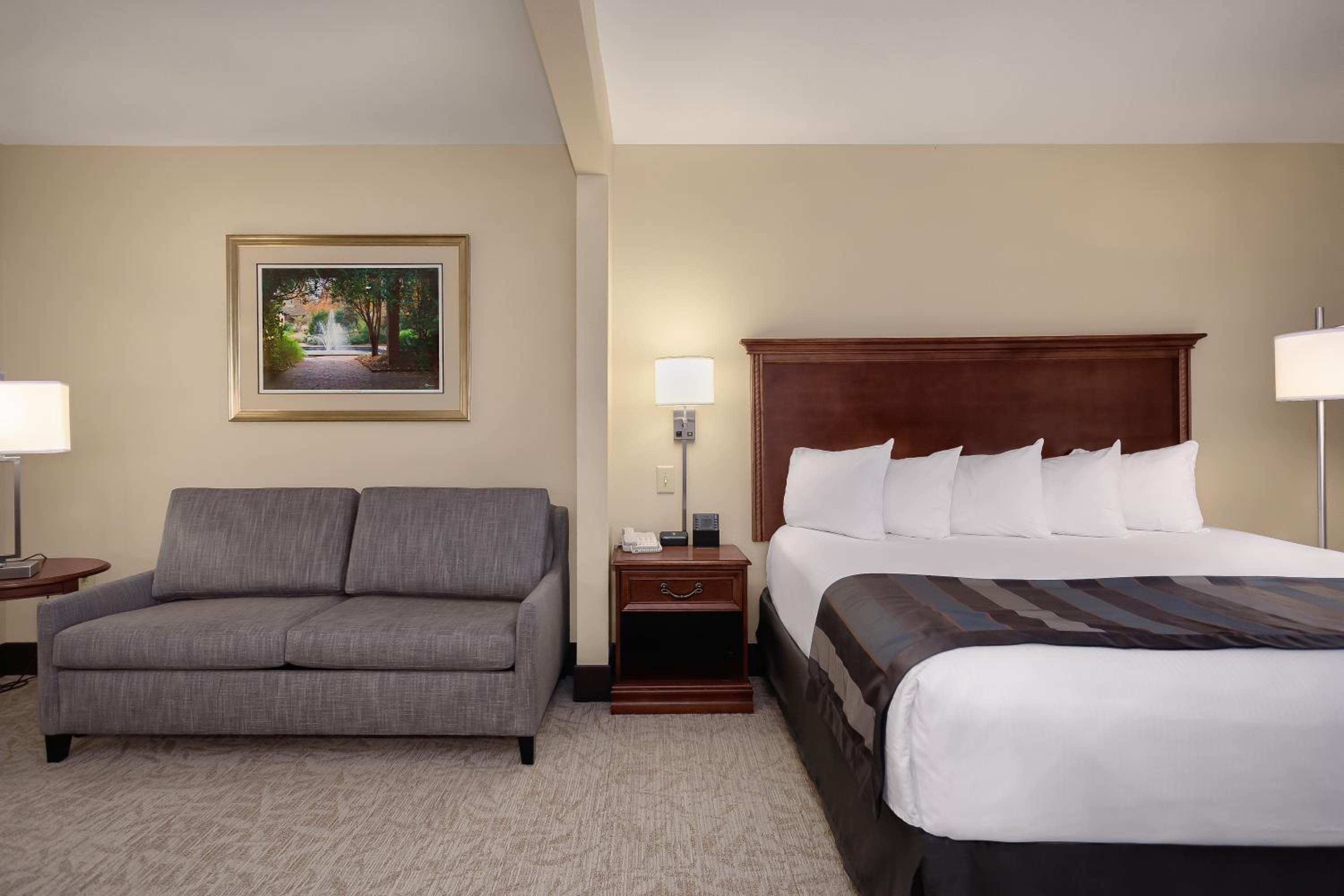 King Room - Non-Smoking - Photo 1