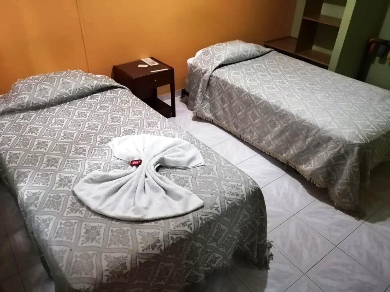 Twin Room photo 3