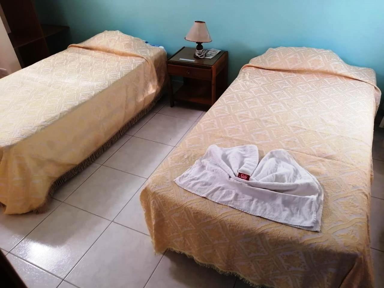 Twin Room photo 3
