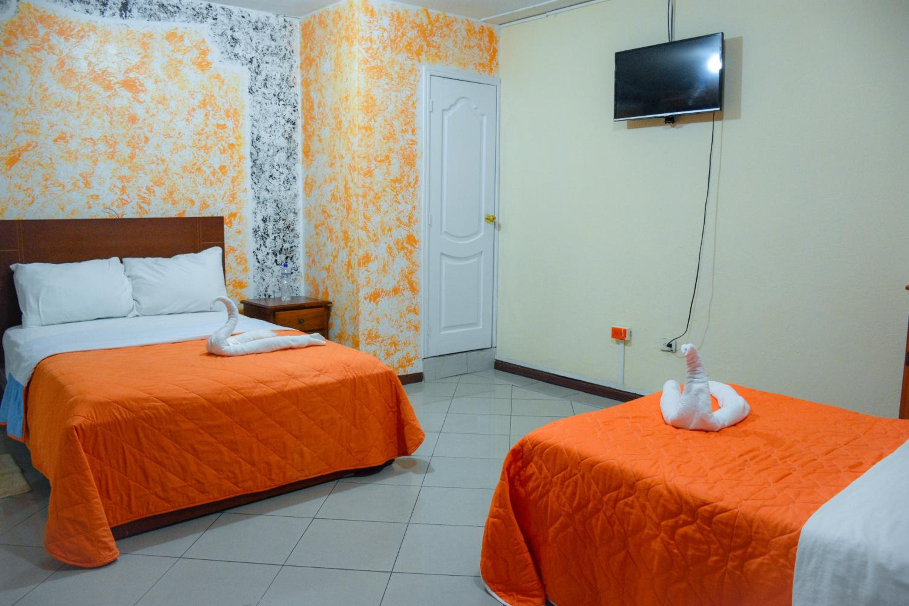 Basic Triple Room
