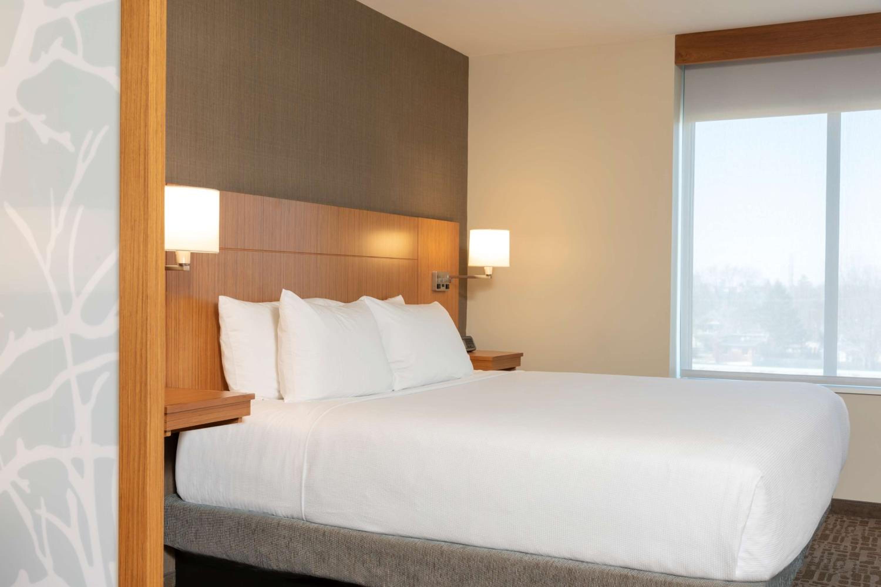Specialty King Room with Sofa Bed photo 1