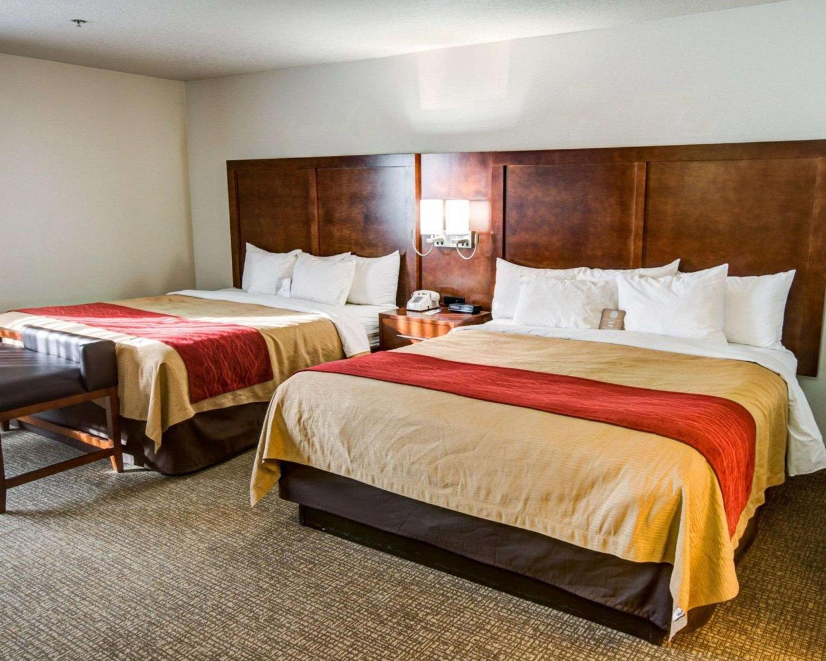 Queen Room with Two Queen Beds and Sofa Bed - Non-Smoking - Photo 1