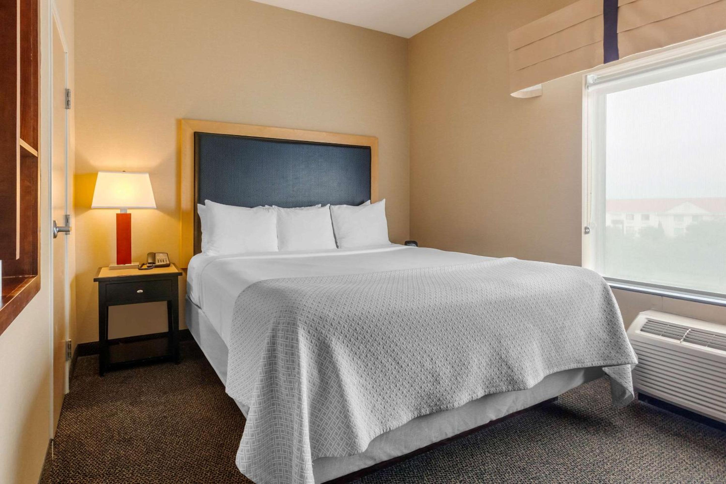 King Suite with Sofa Bed - Photo 5