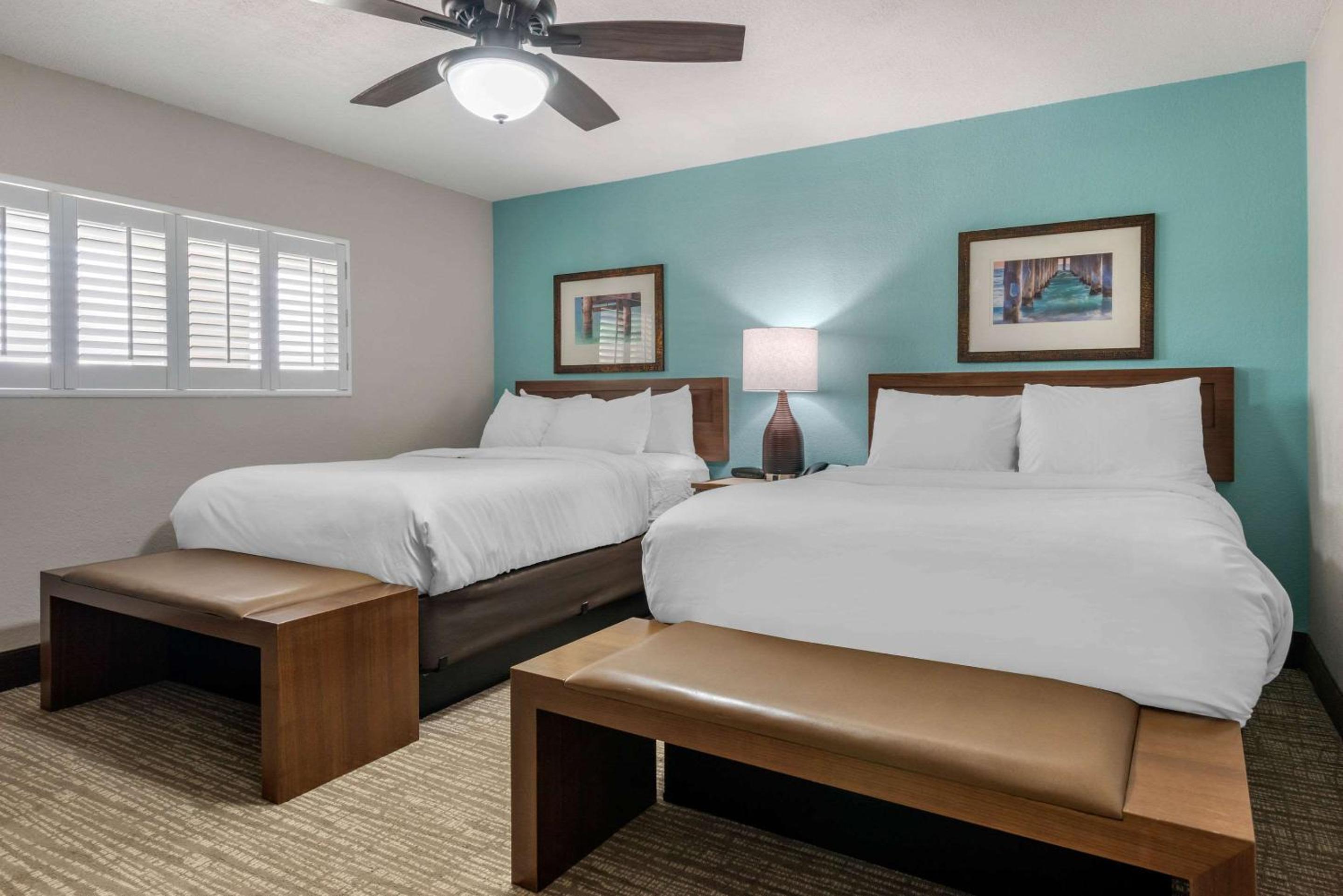 One Bedroom Double Suite - Photo 10