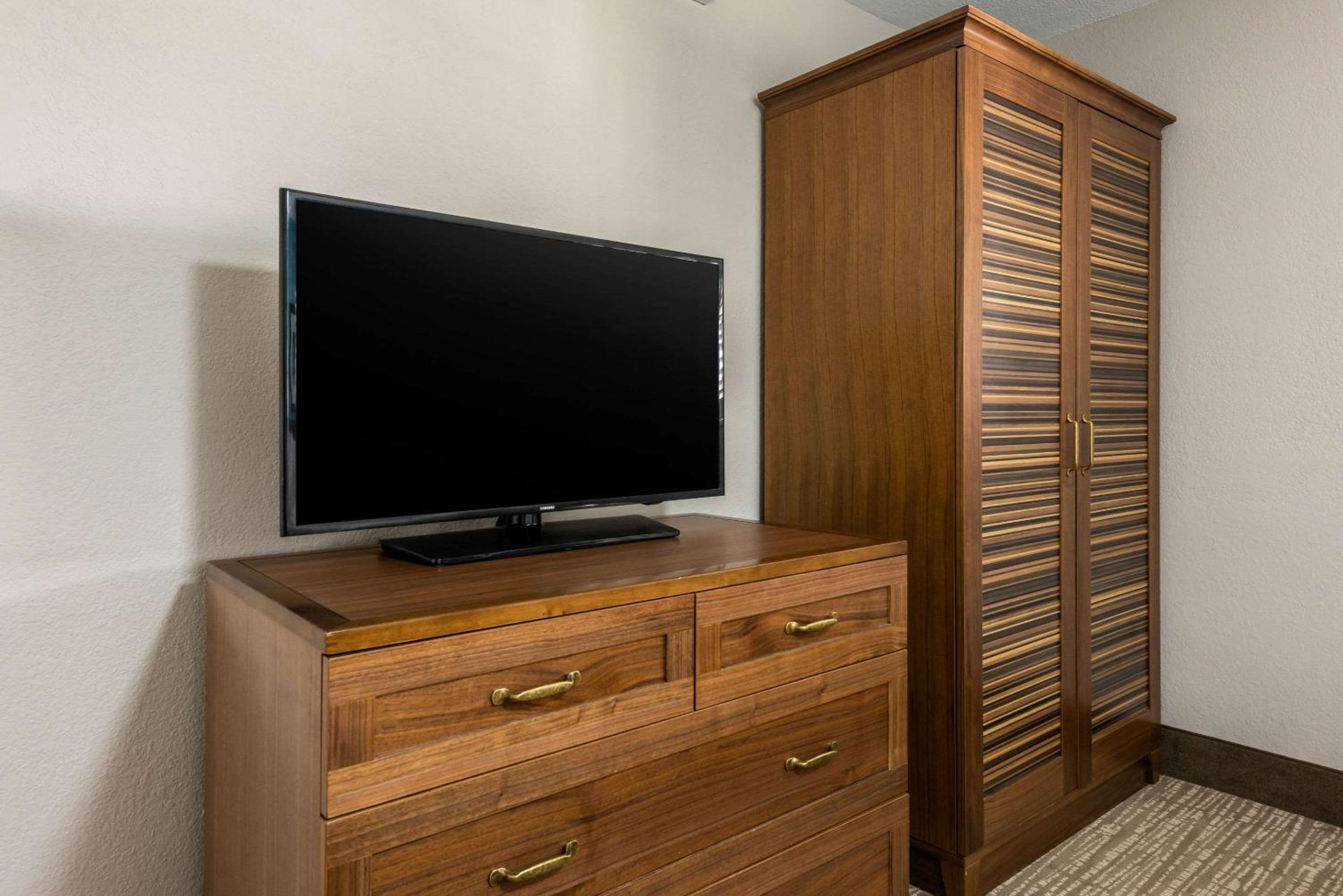 One Bedroom Double Suite - Photo 9