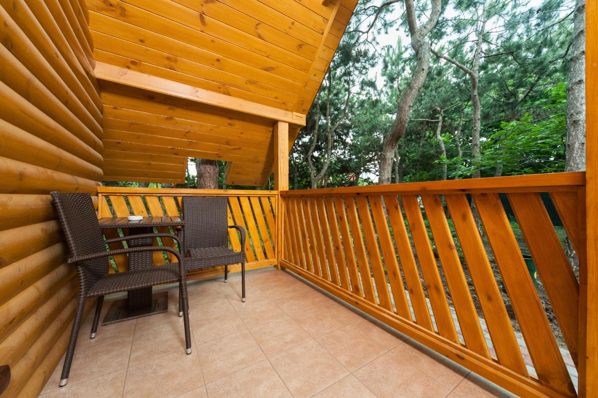 Studio with Terrace photo 3