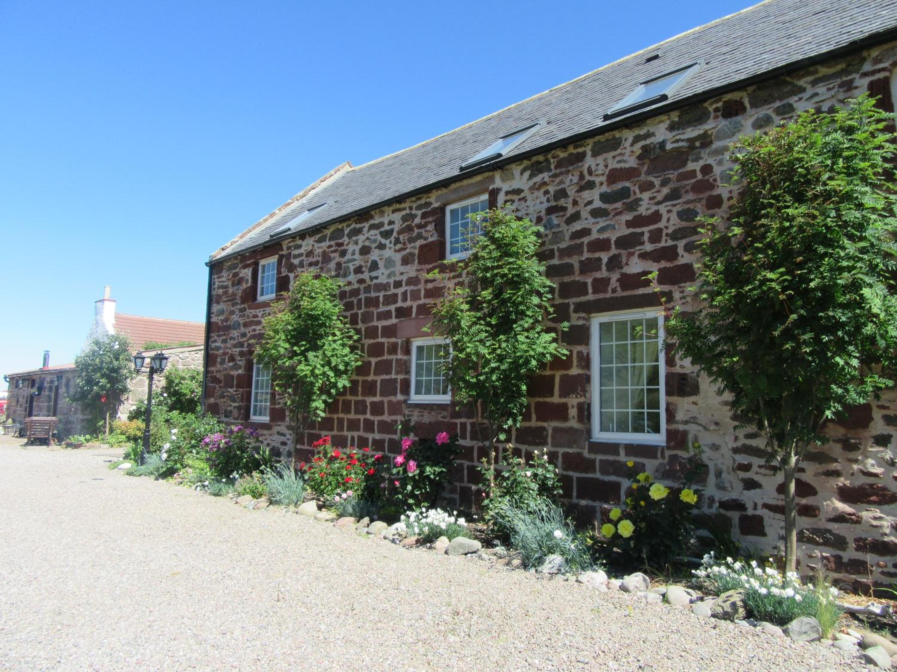 Two-Bedroom Cottage photo 2