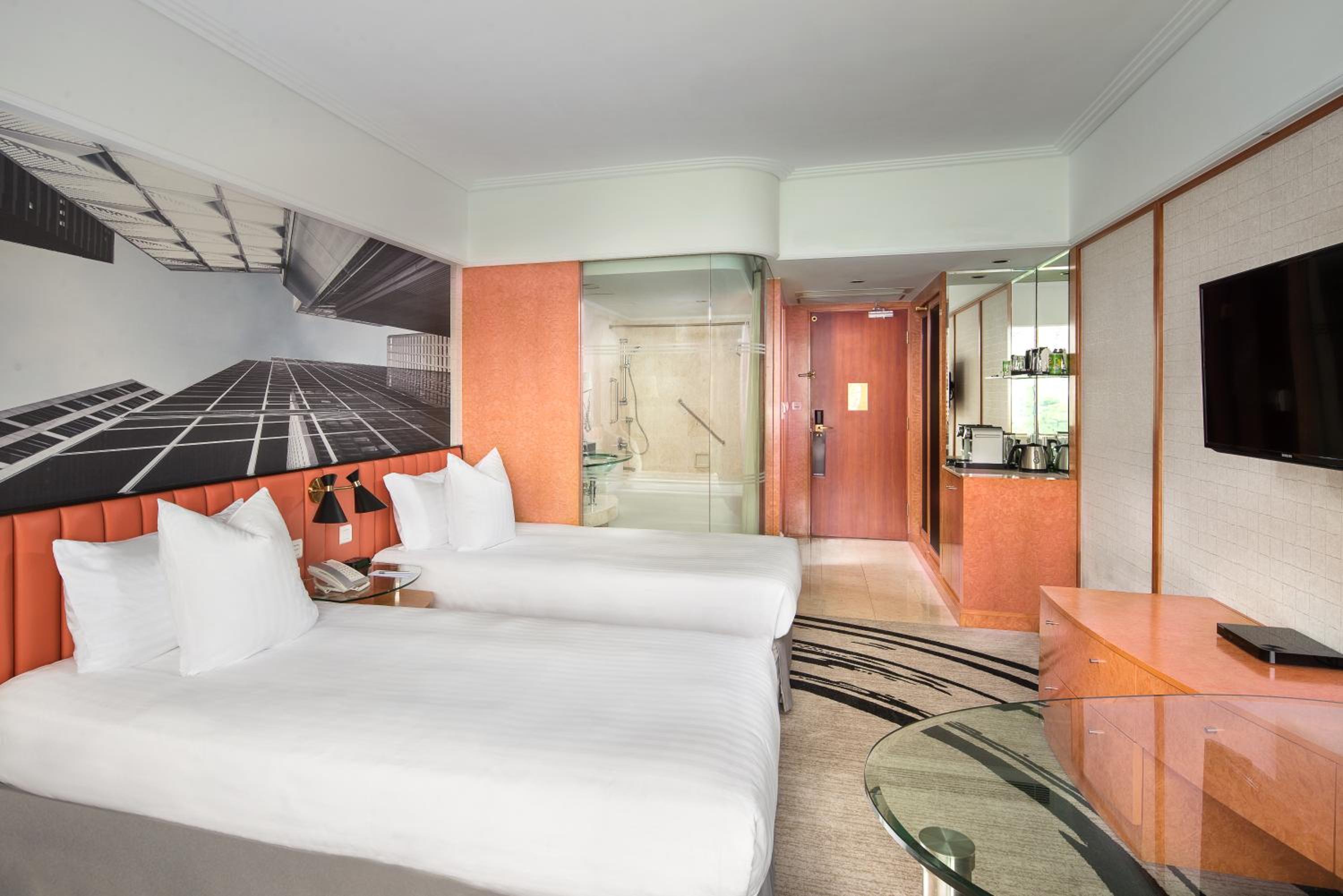 Deluxe Twin Room With City View