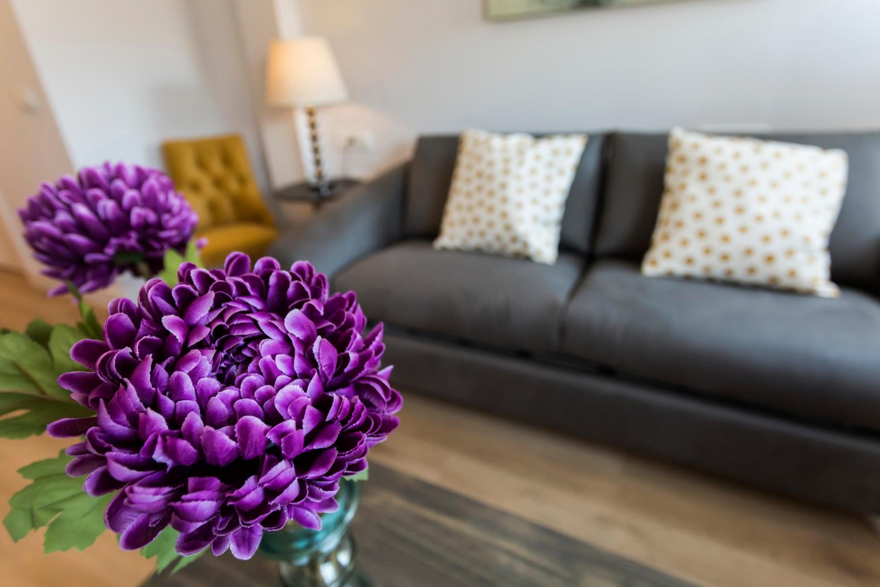 Duplex Apartment photo 3