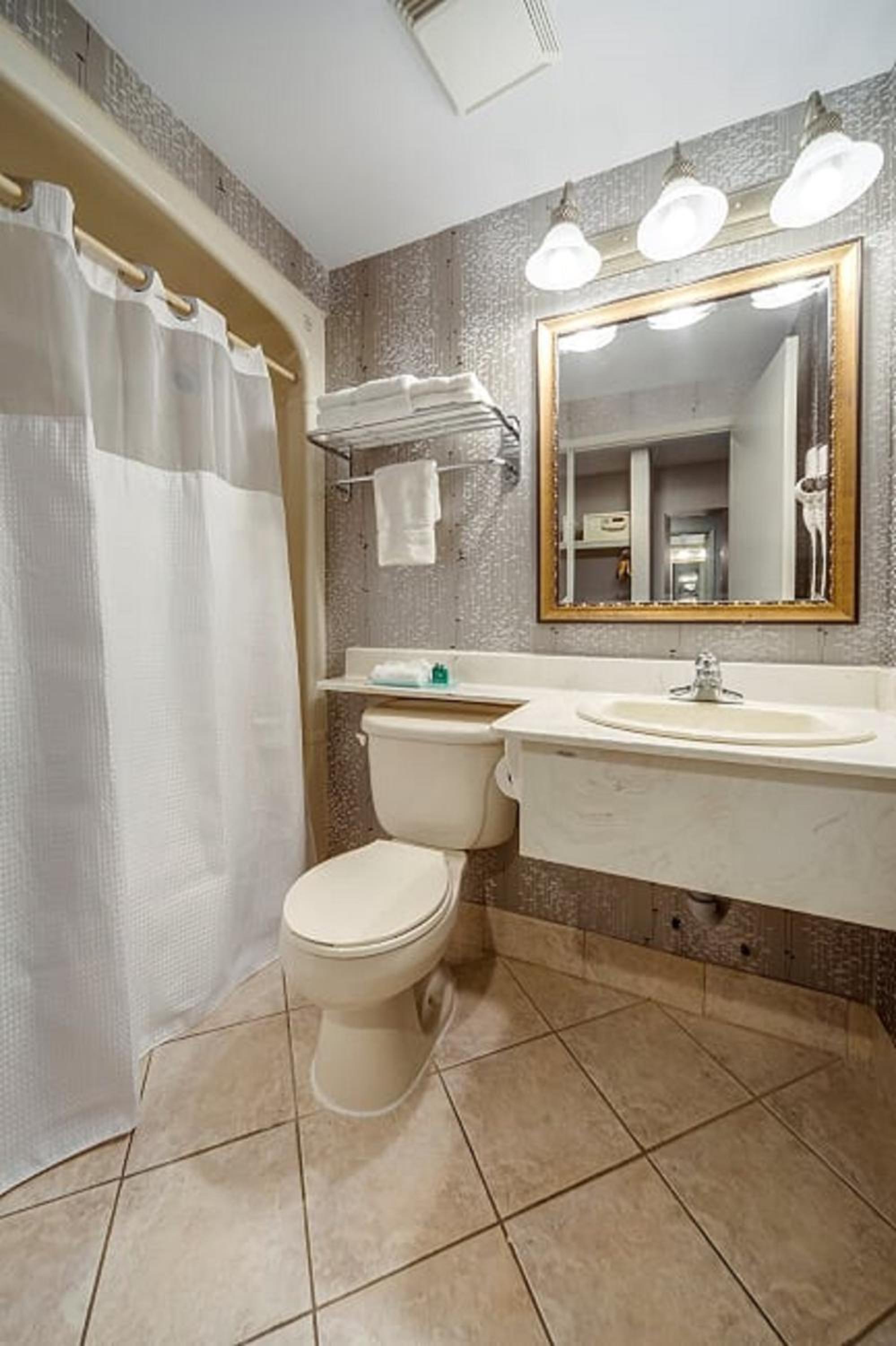 Standard room with 1 king bed - Photo 2