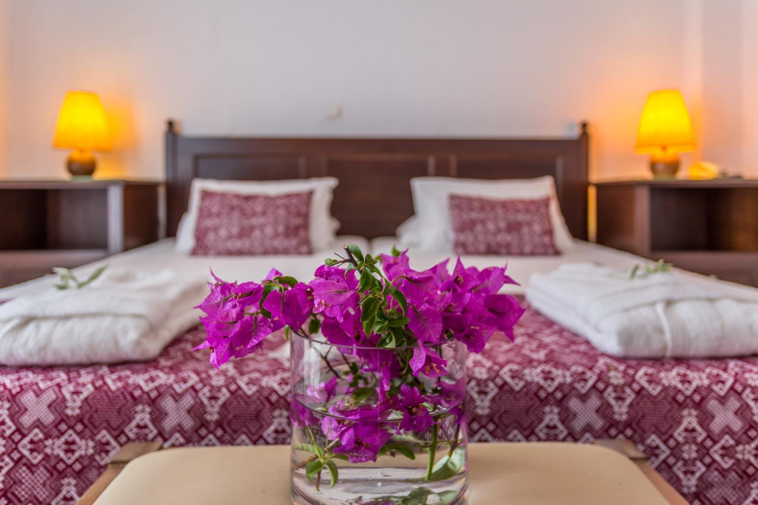 Double Room with Garden View photo 2
