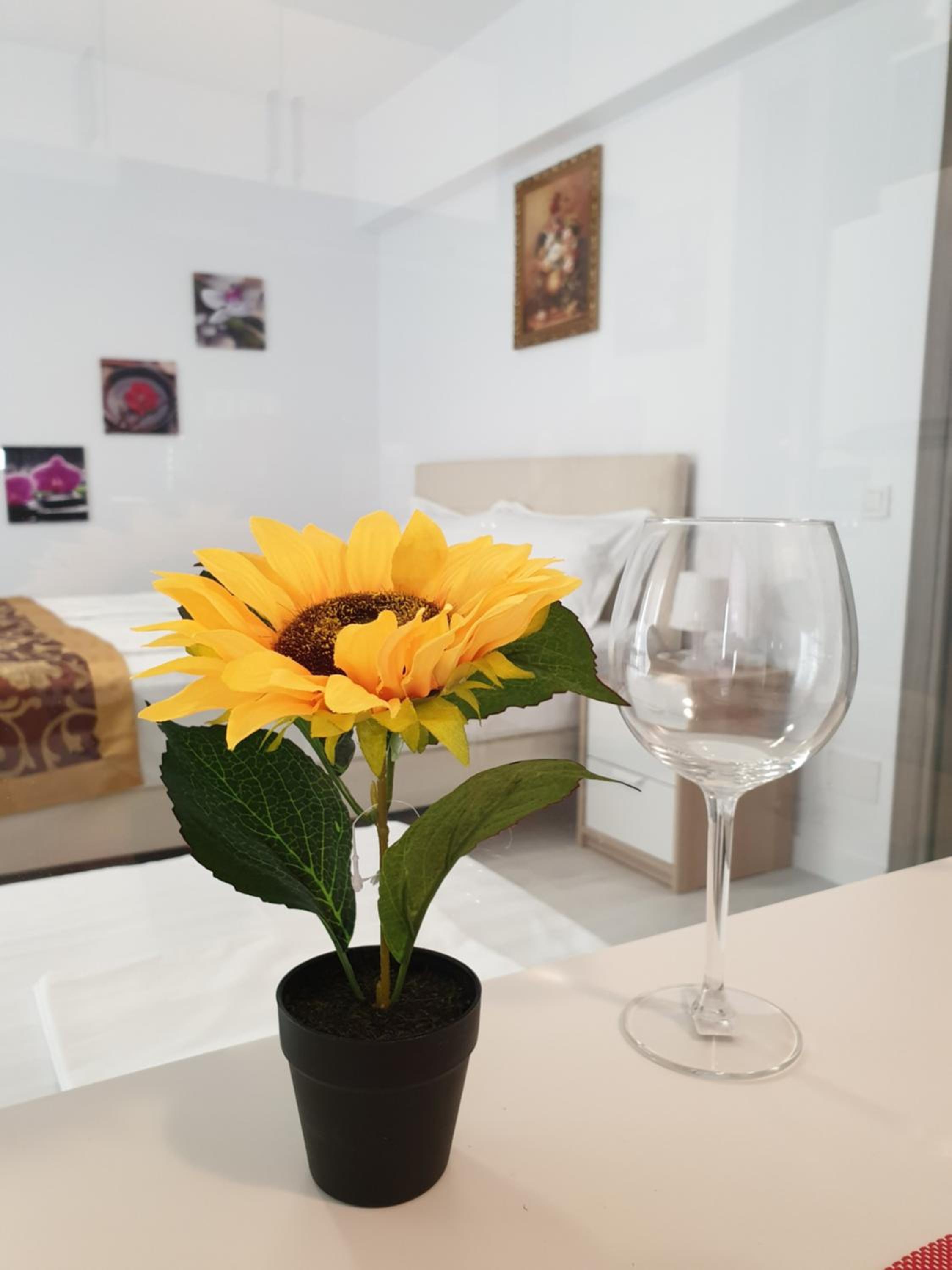 Studio Apartment - Photo 7