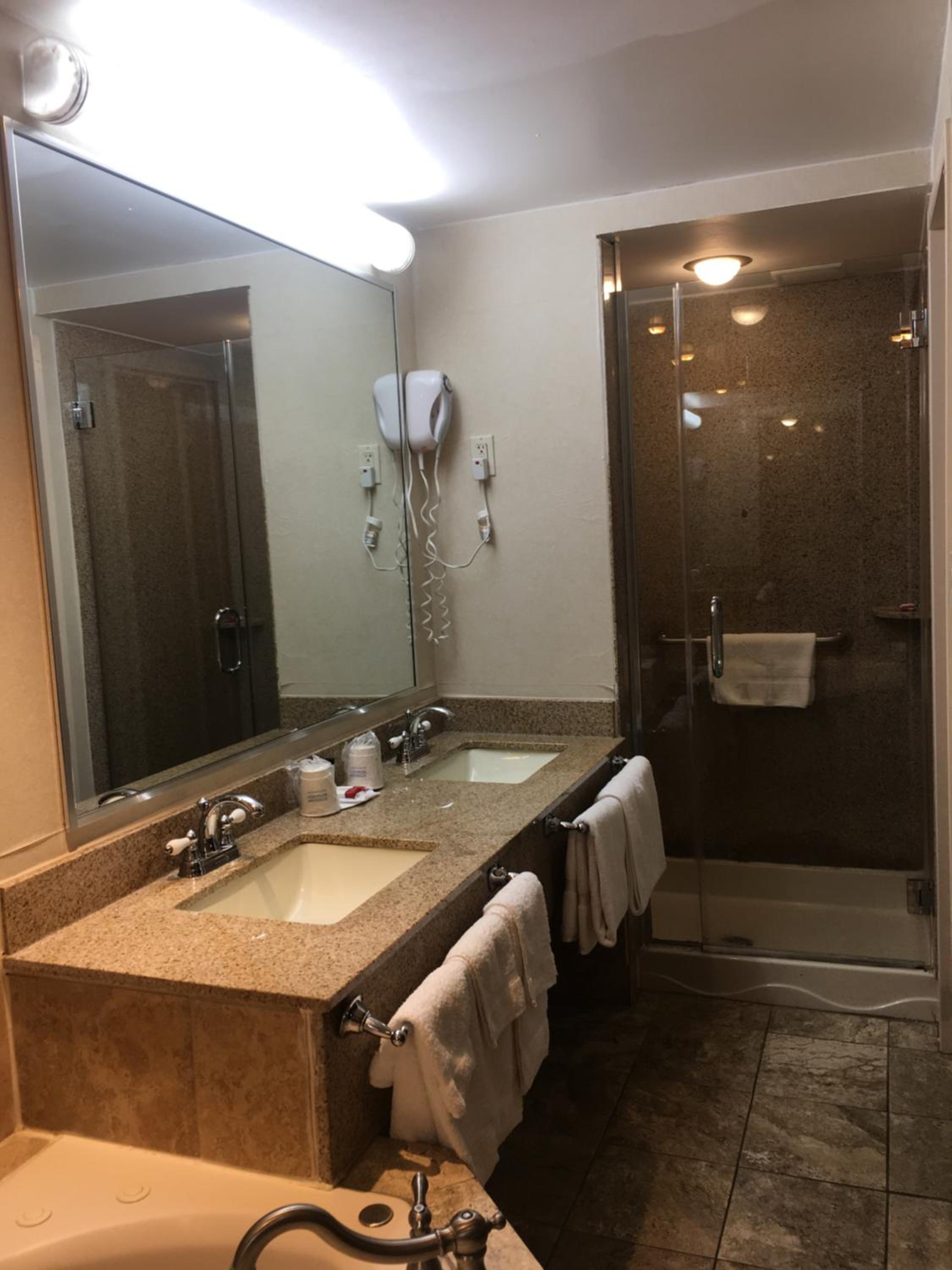 Deluxe King Studio Suite - Non-Smoking - Photo 4