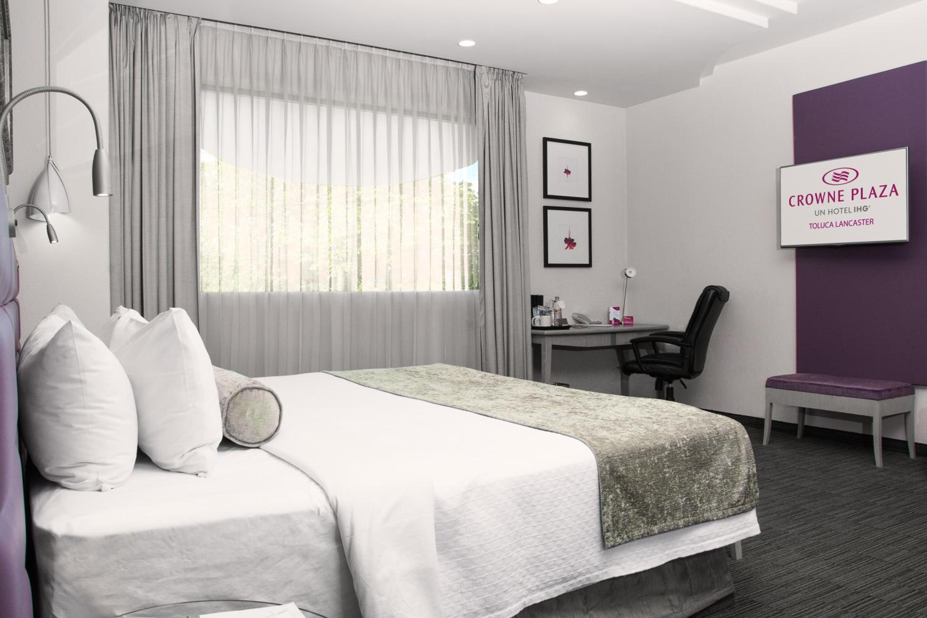 Suite - Photo 1