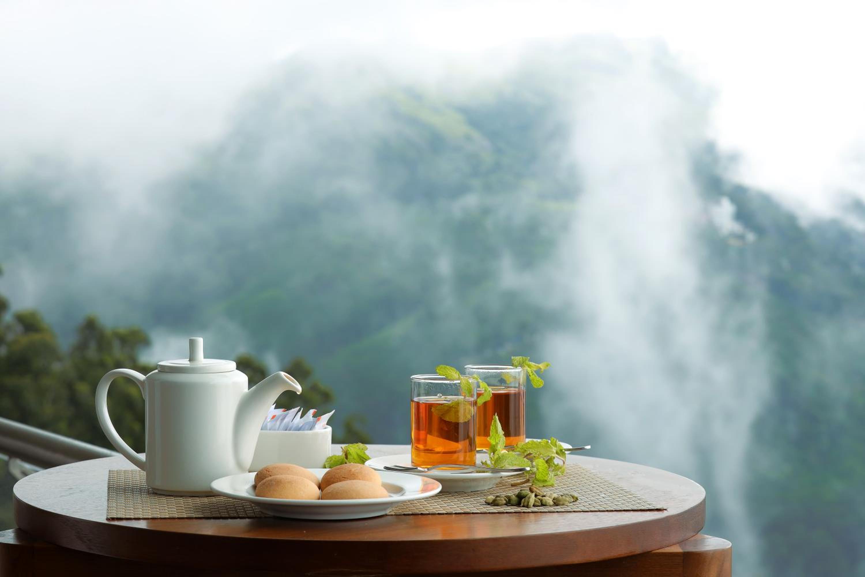 Ananta – Tea Plantation View Room AC with Evening Hi-Tea Complimentary