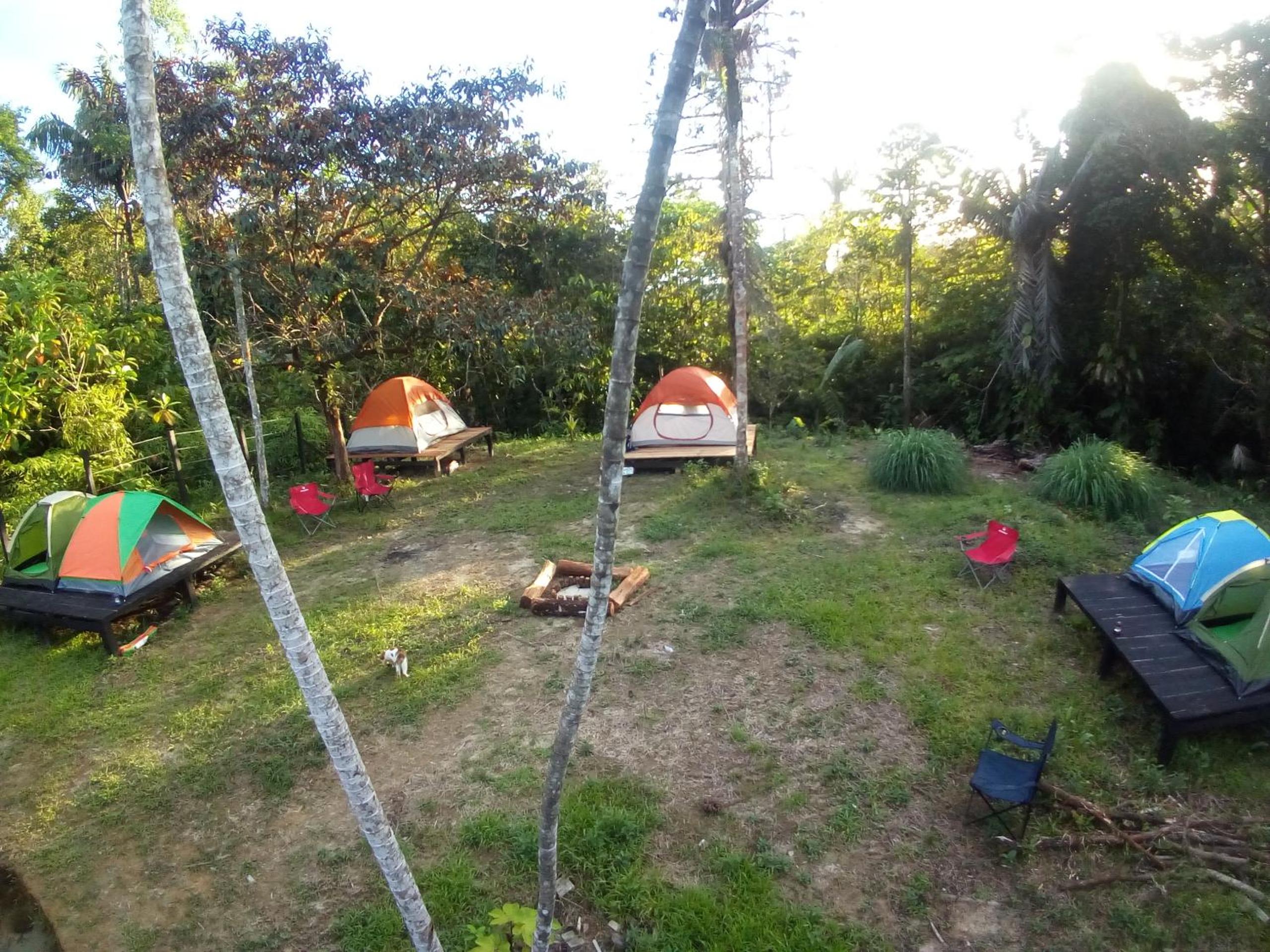 Tent photo 2