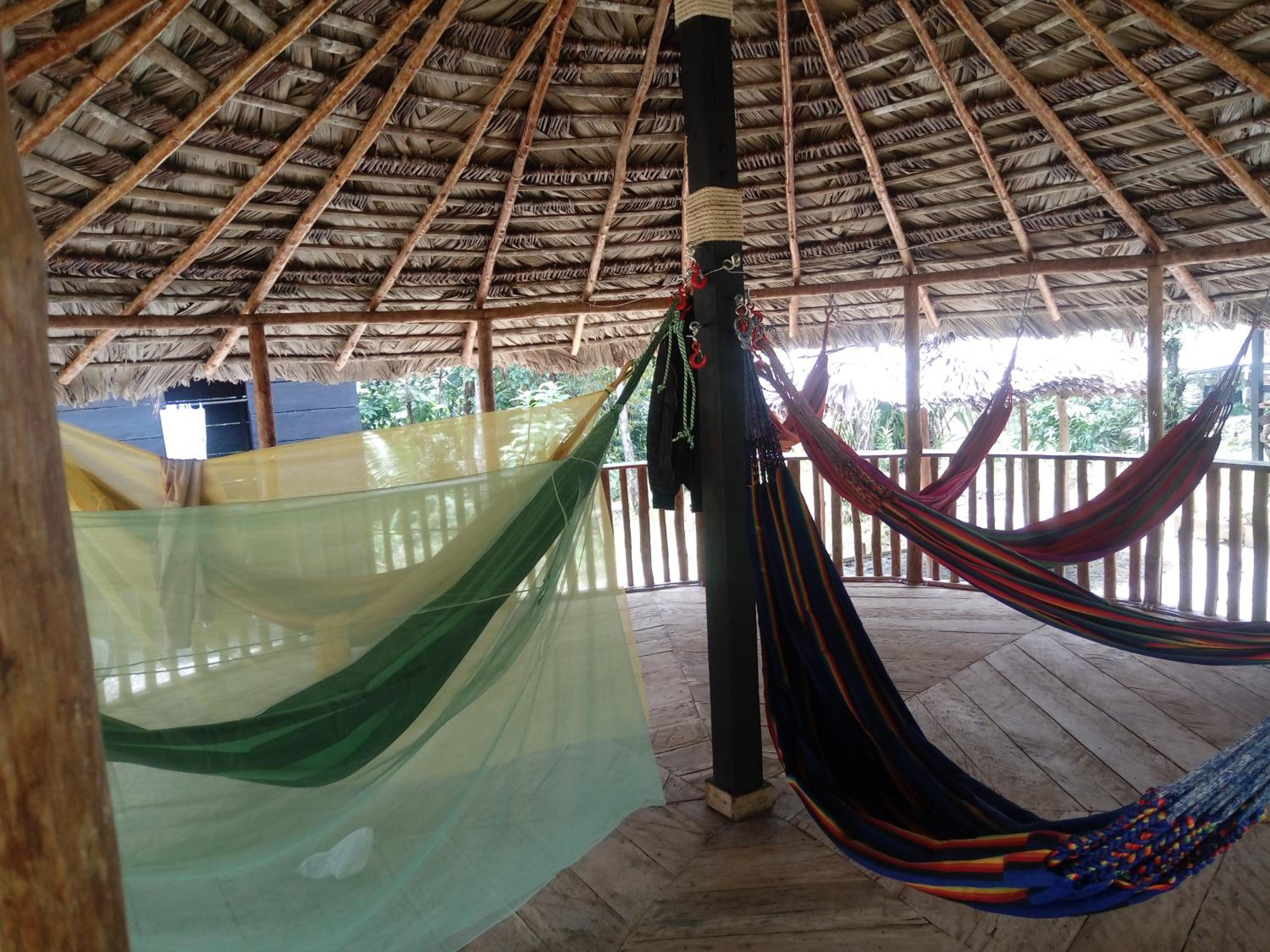 Hammock photo 1