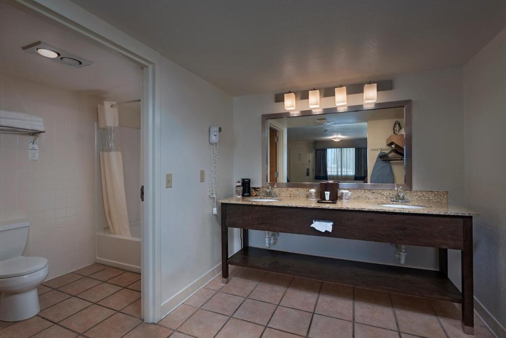 Deluxe King Suite photo 3