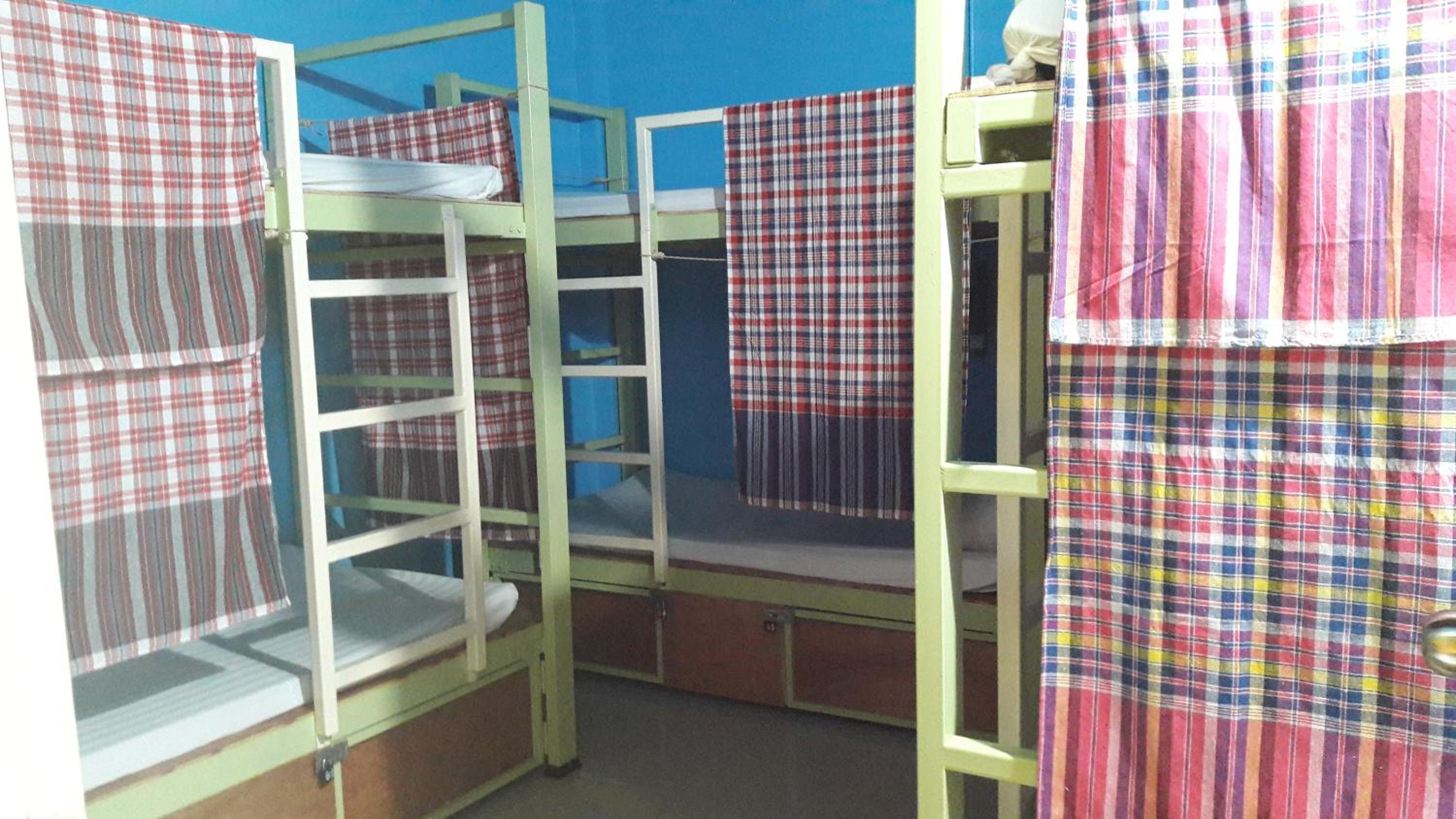 Bunk Bed in Mixed Dormitory Room photo 3
