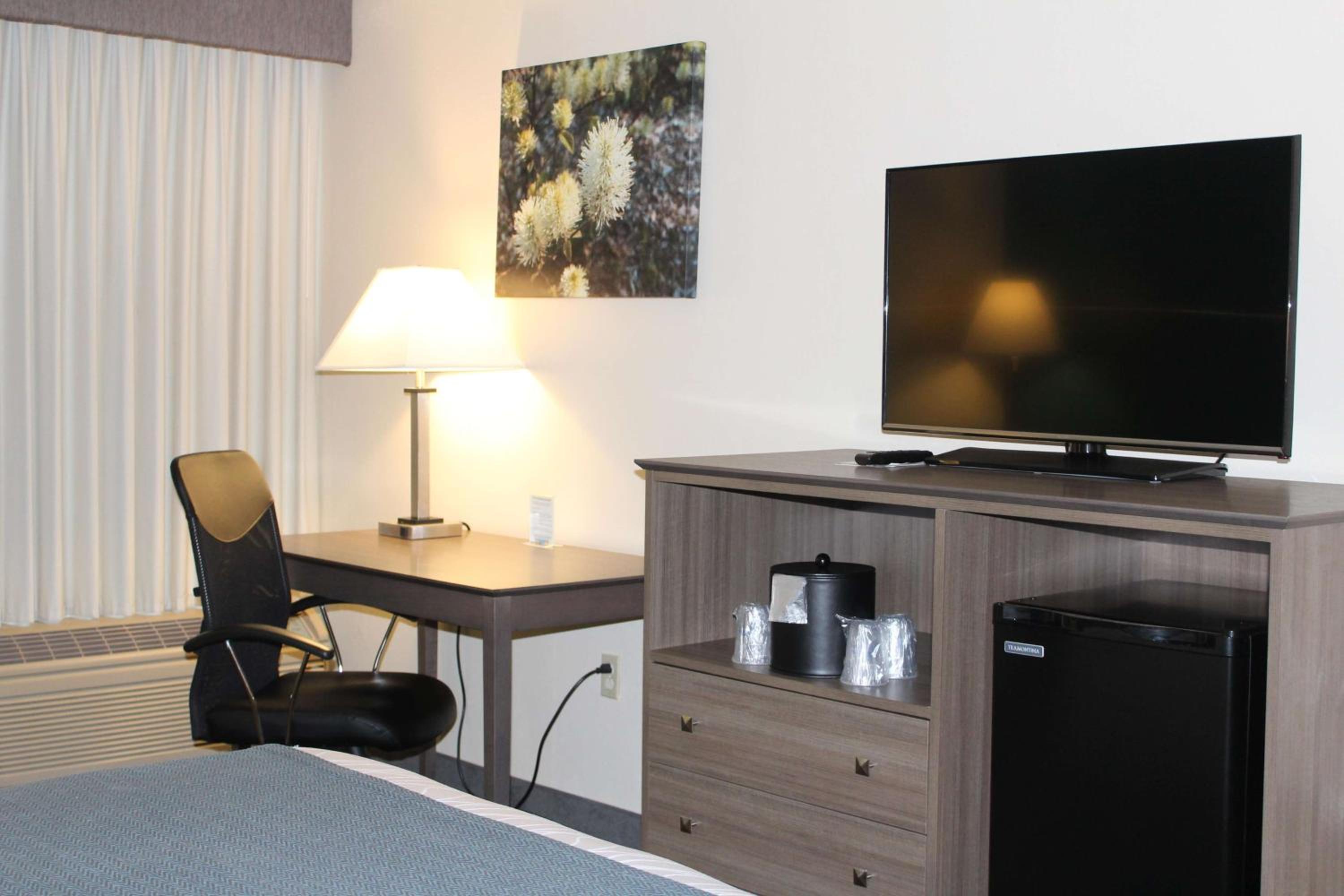 King Room photo 2