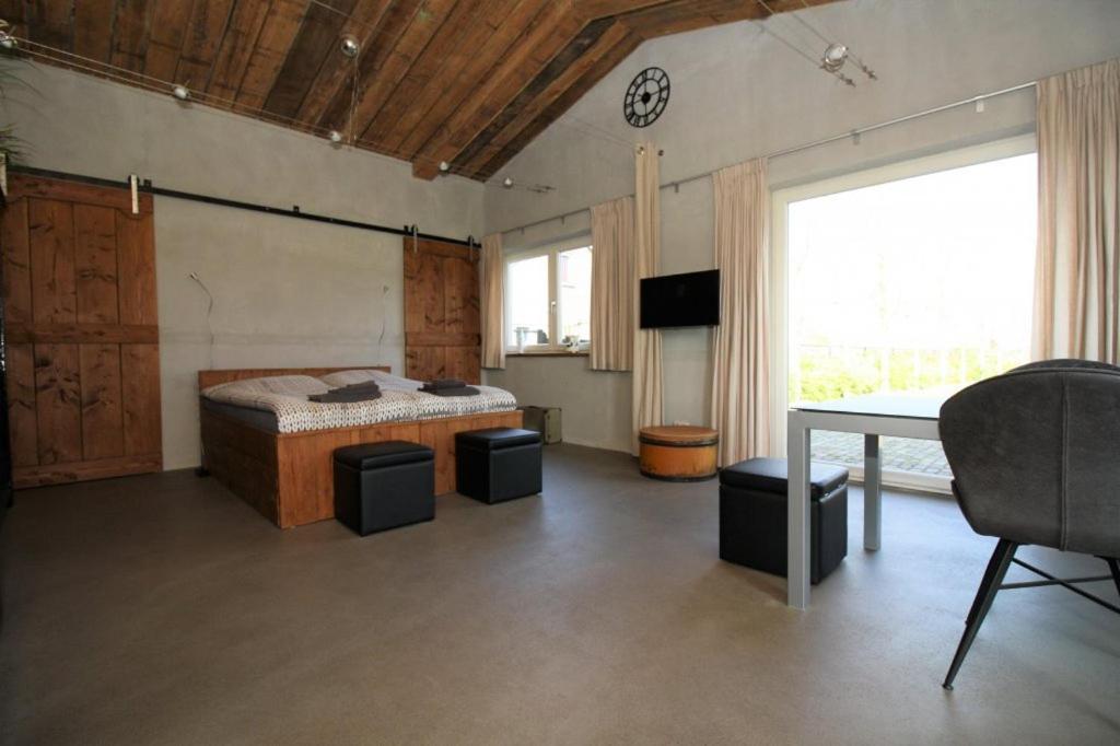 Studio with Terrace photo 1