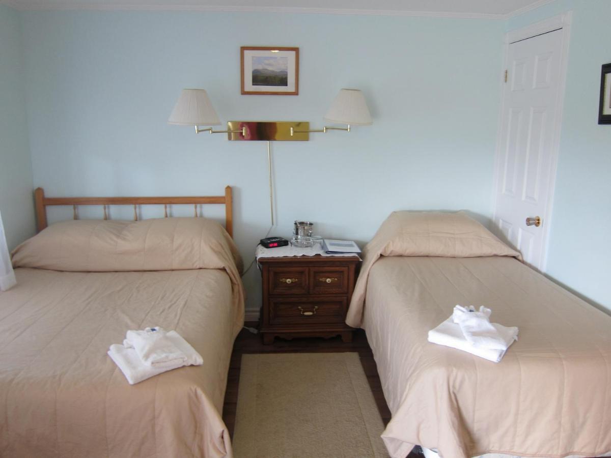 Disability Access Room photo 1
