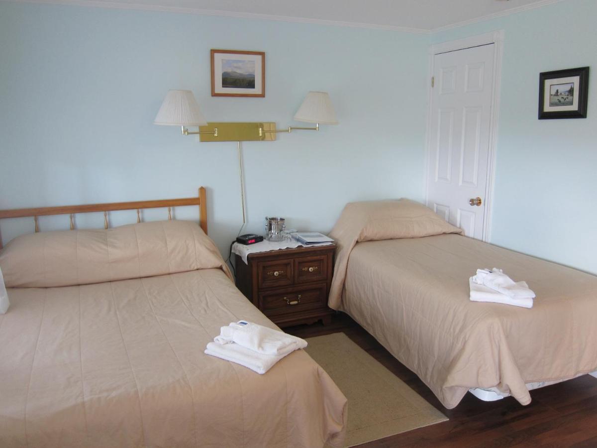 Disability Access Room photo 3
