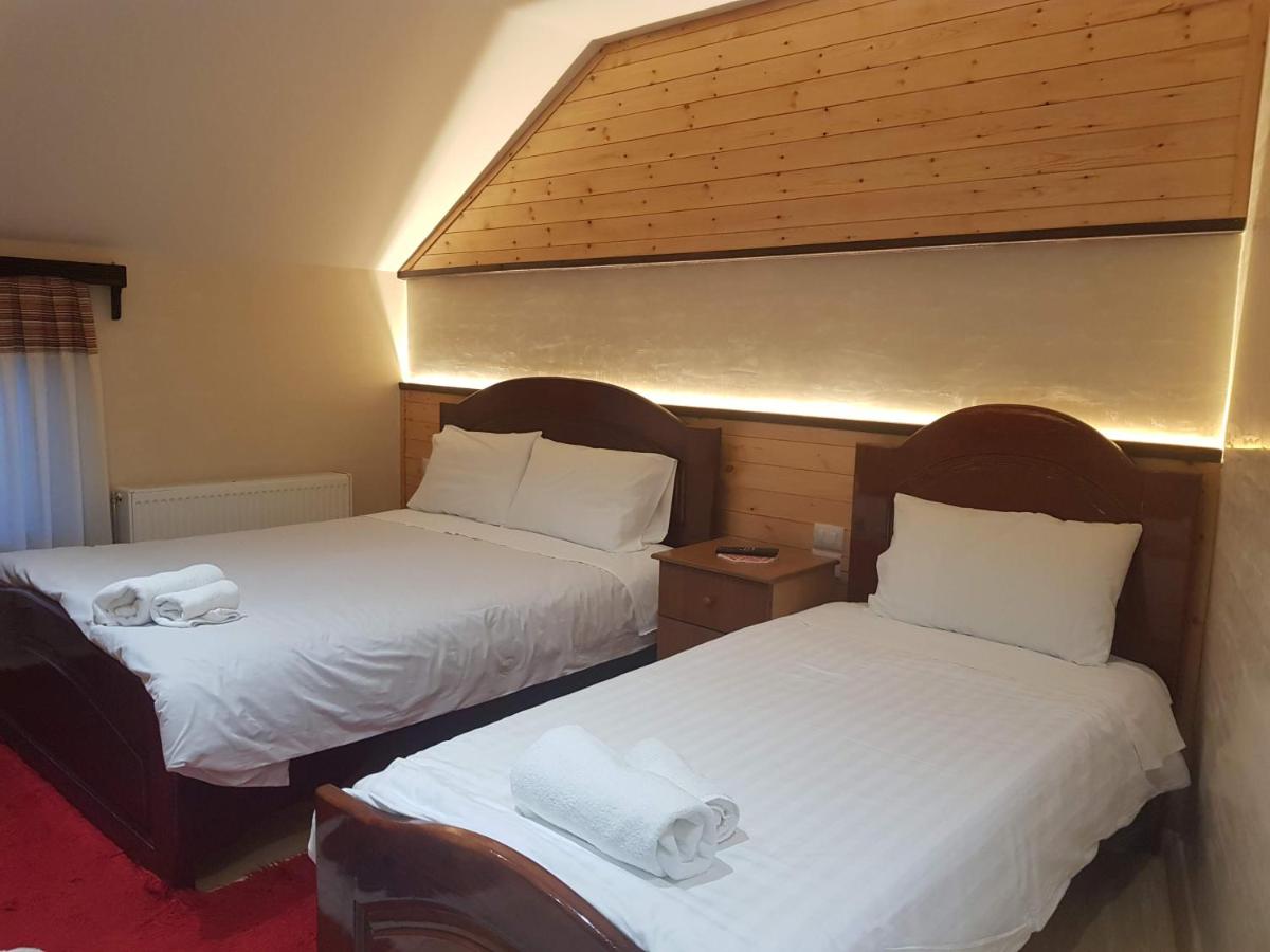 Deluxe Double or Twin Room with Mountain View photo 3