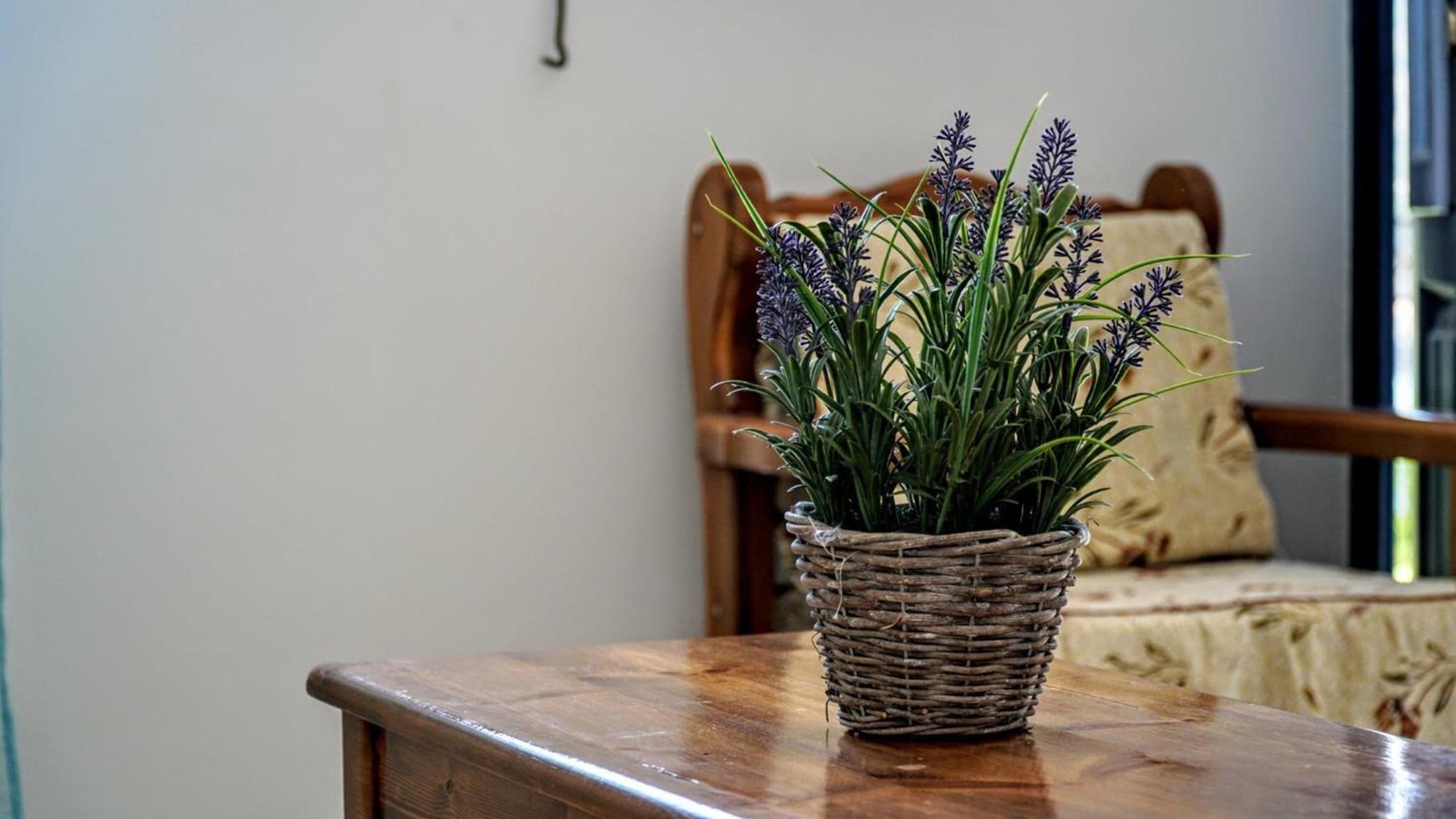 Apartment - Photo 18
