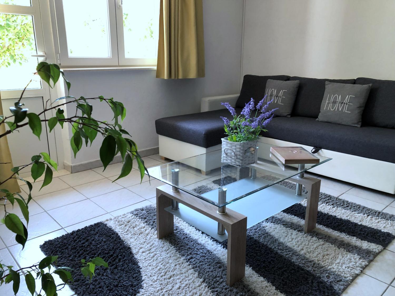 Apartment with Terrace