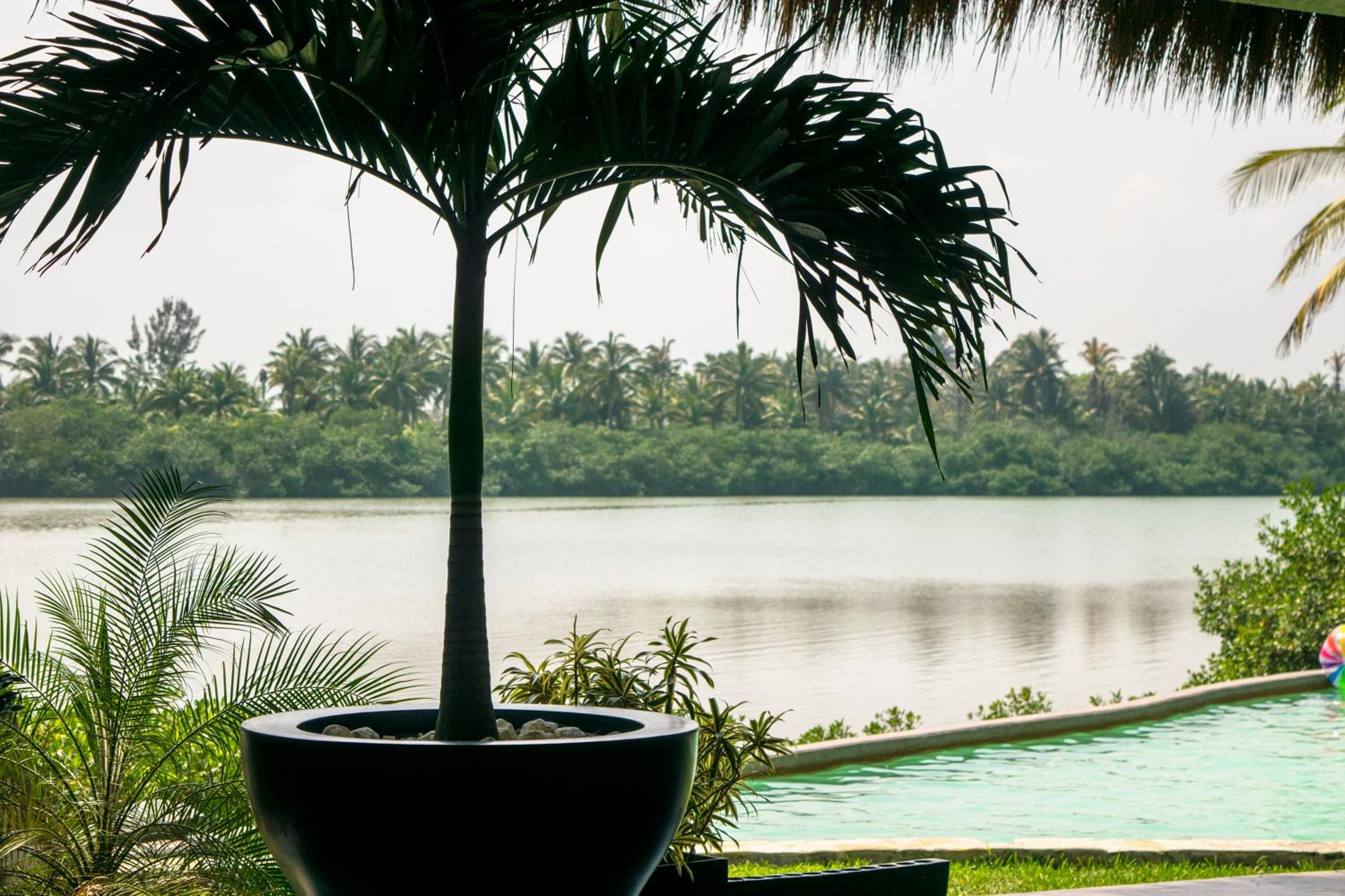 King Room with Lake View