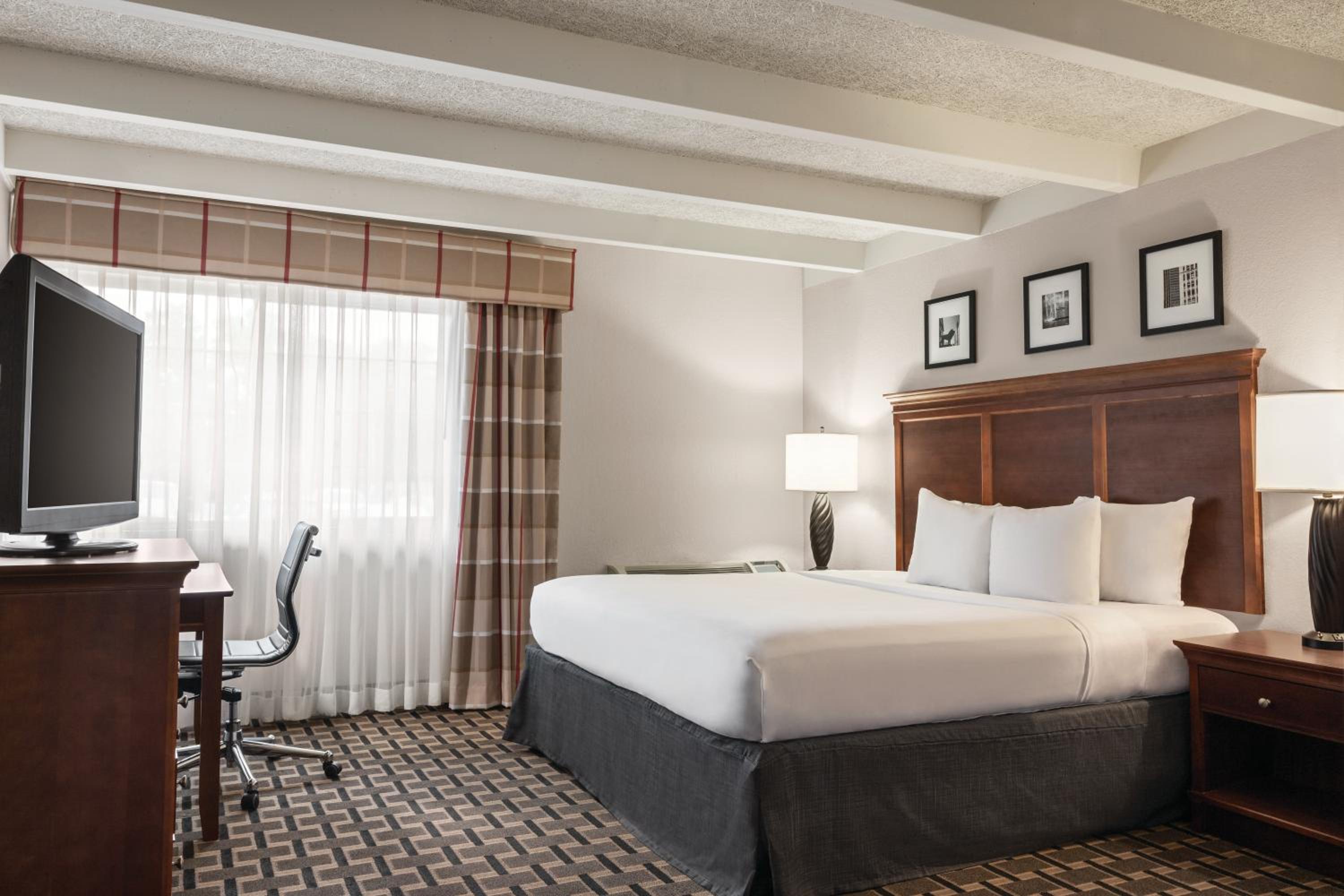 King Room - Photo 1
