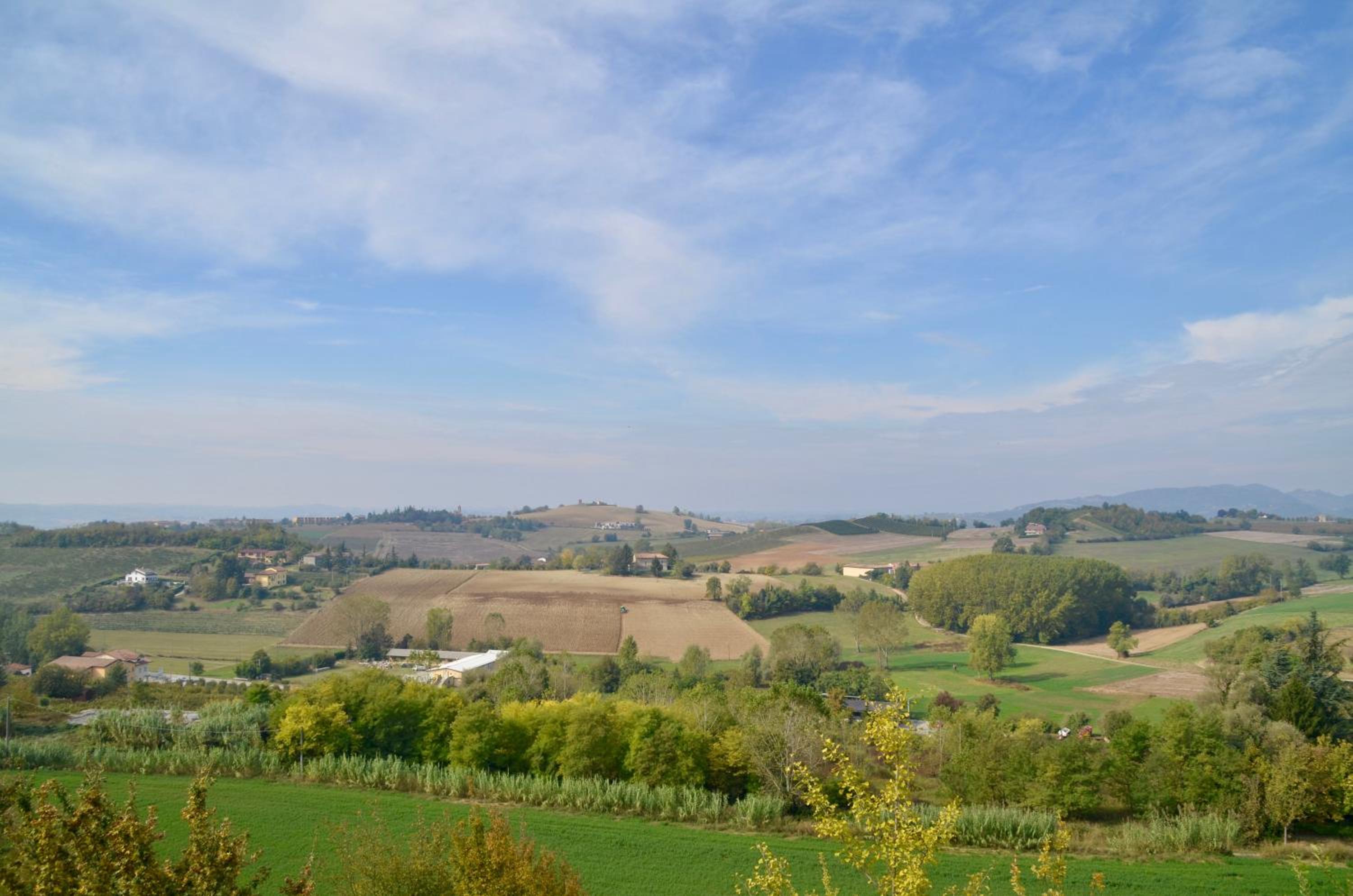 Panoramic Suite with Balcony photo 3