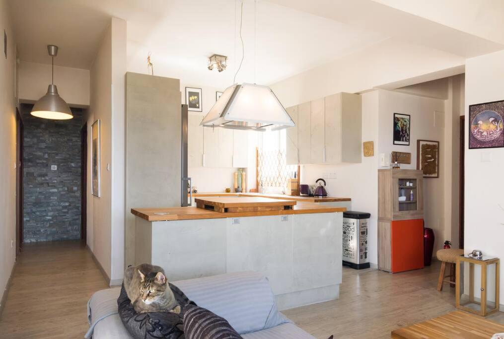 Penthouse Apartment - Cat Sitting - Photo 32