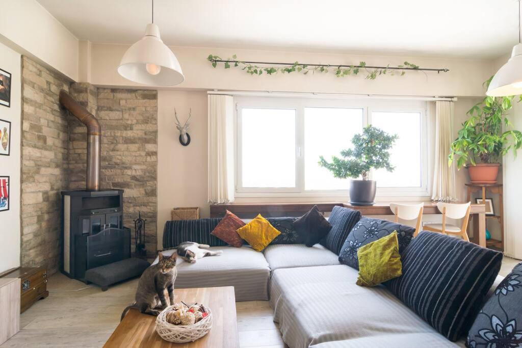 Penthouse Apartment - Cat Sitting - Photo 13