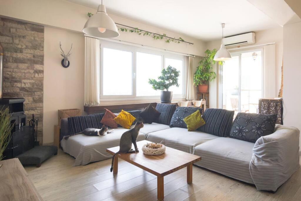 Penthouse Apartment - Cat Sitting - Photo 4
