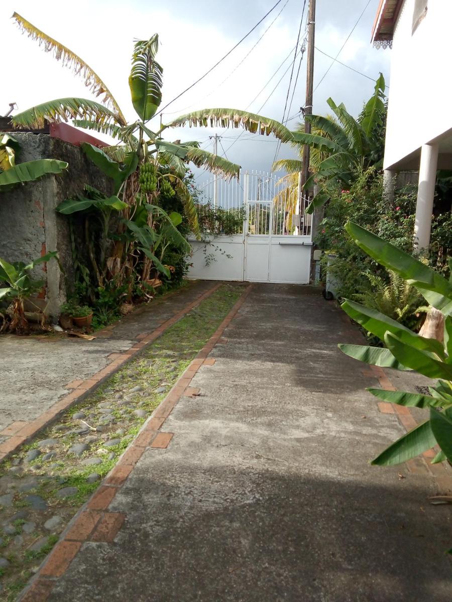Villa with Sea View photo 1